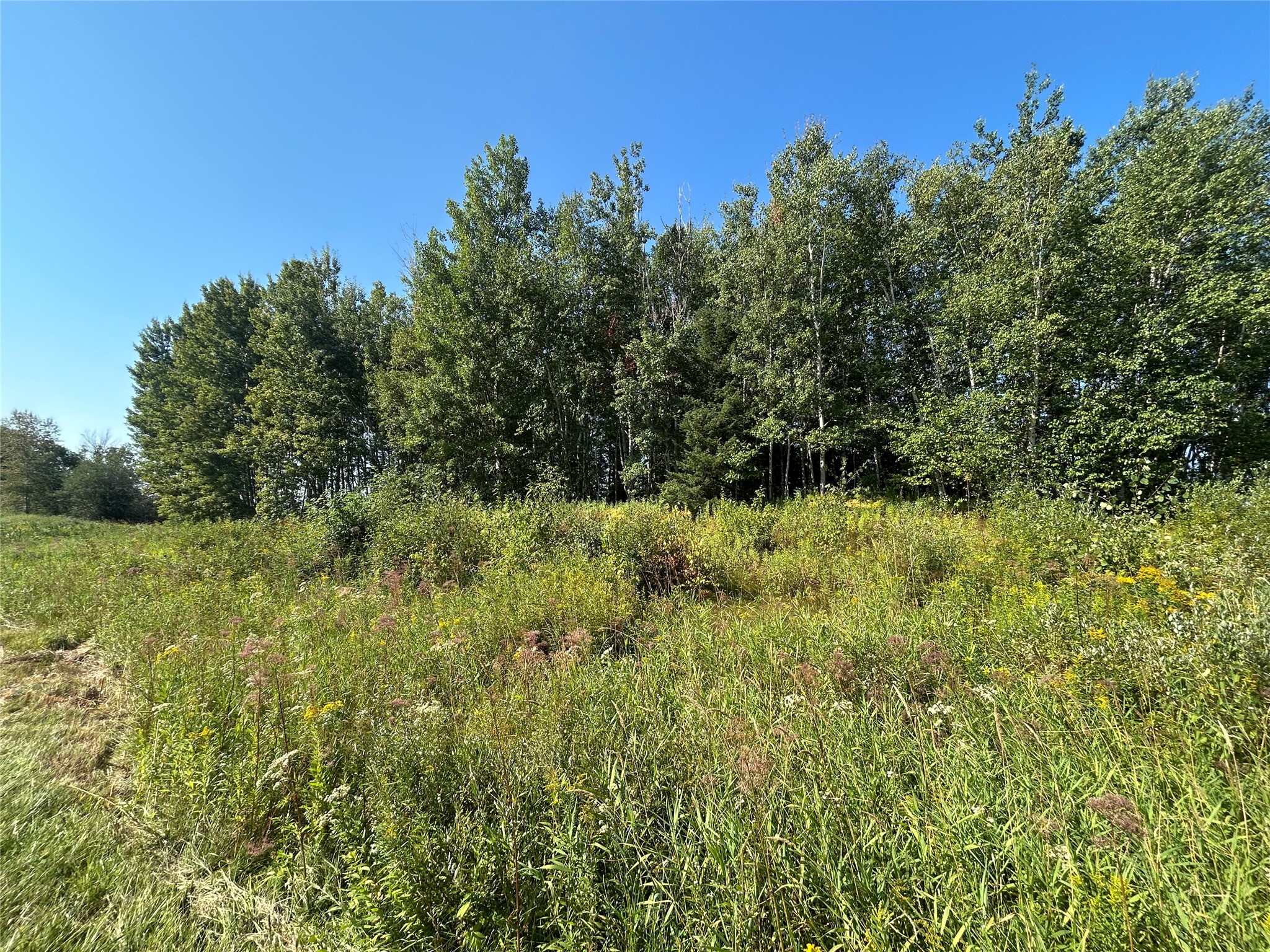 On Highway 53 Property Photo 8