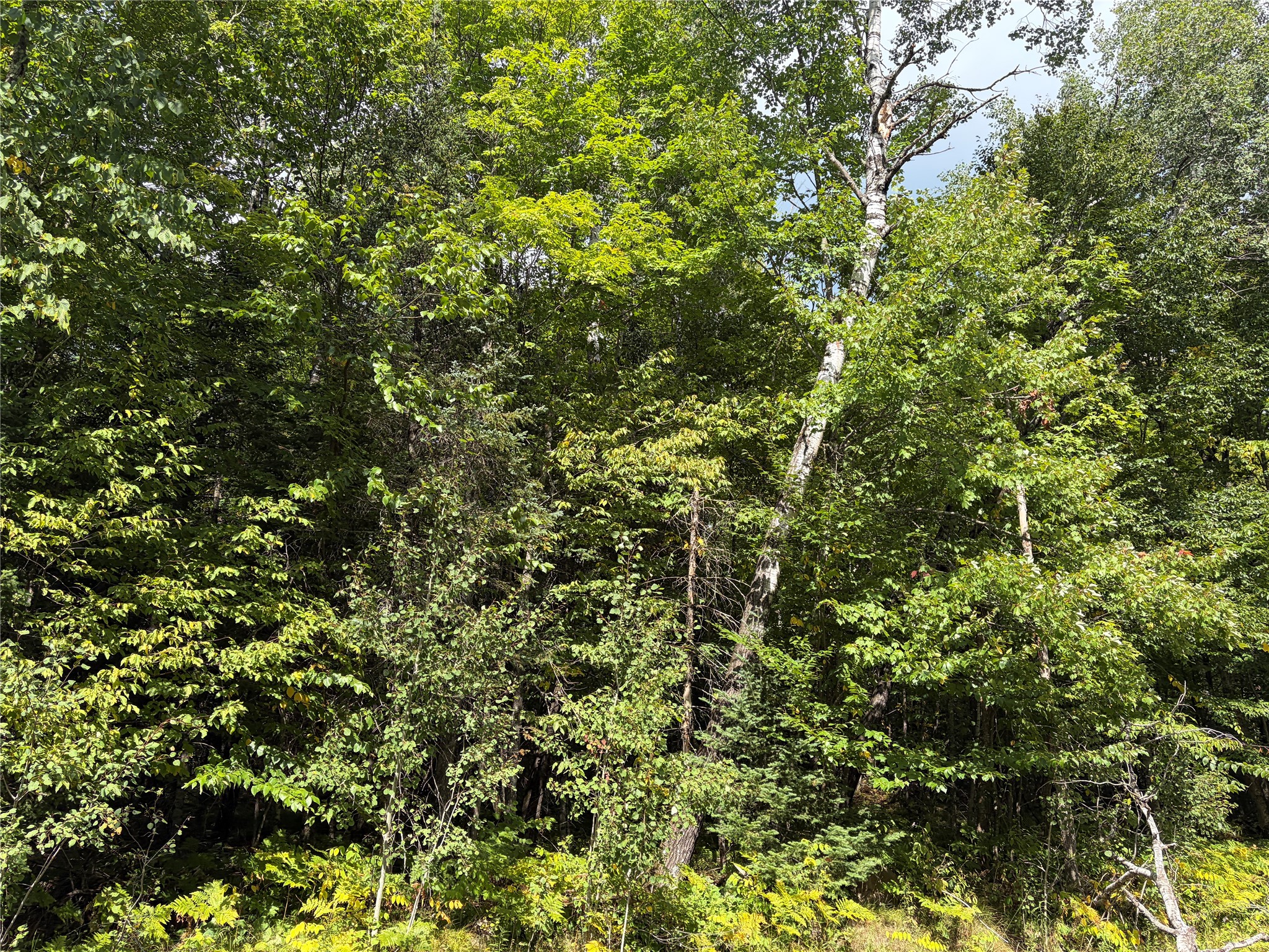 On Schwilk Road Property Photo 2