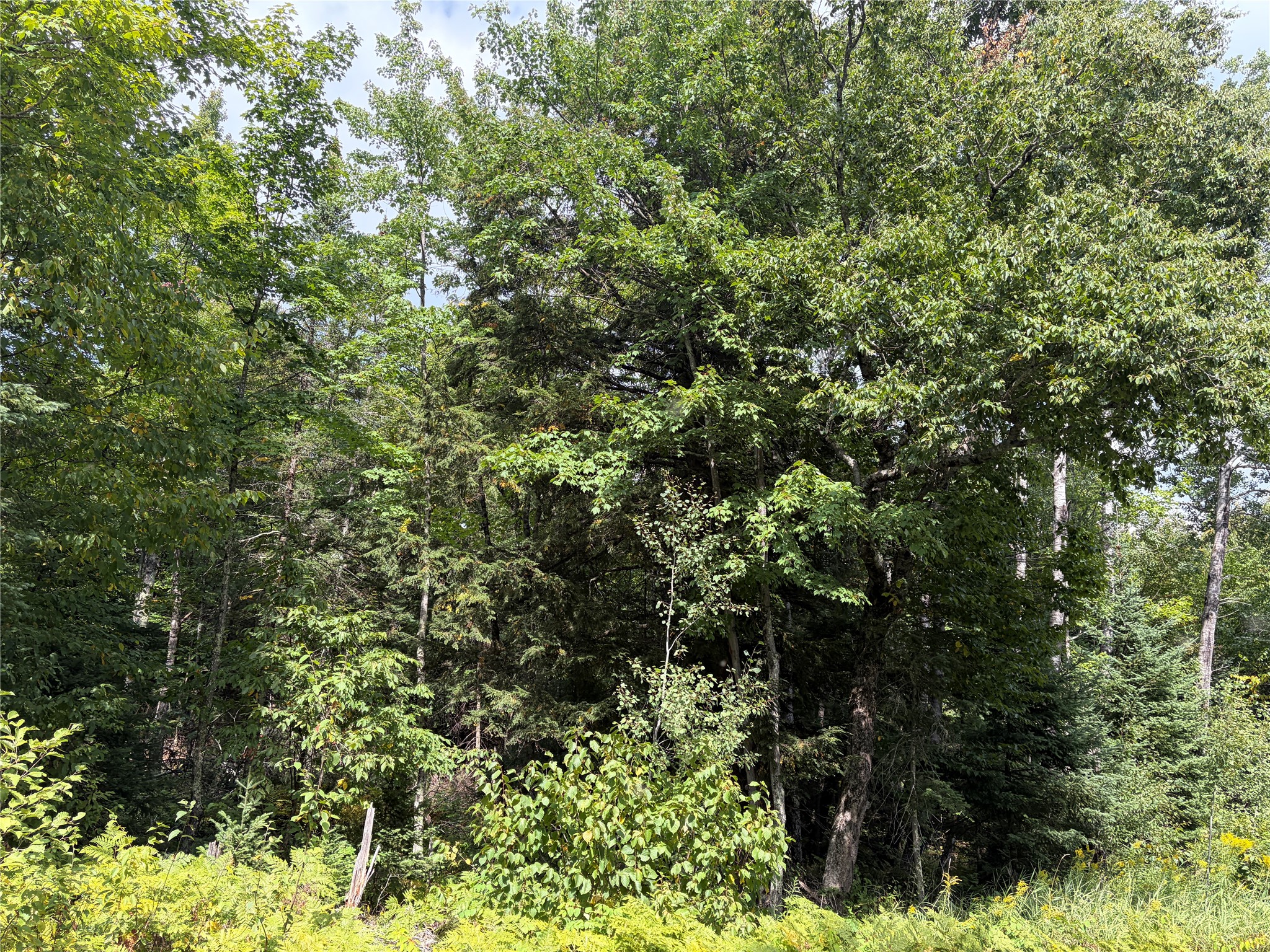 On Schwilk Road Property Photo 3