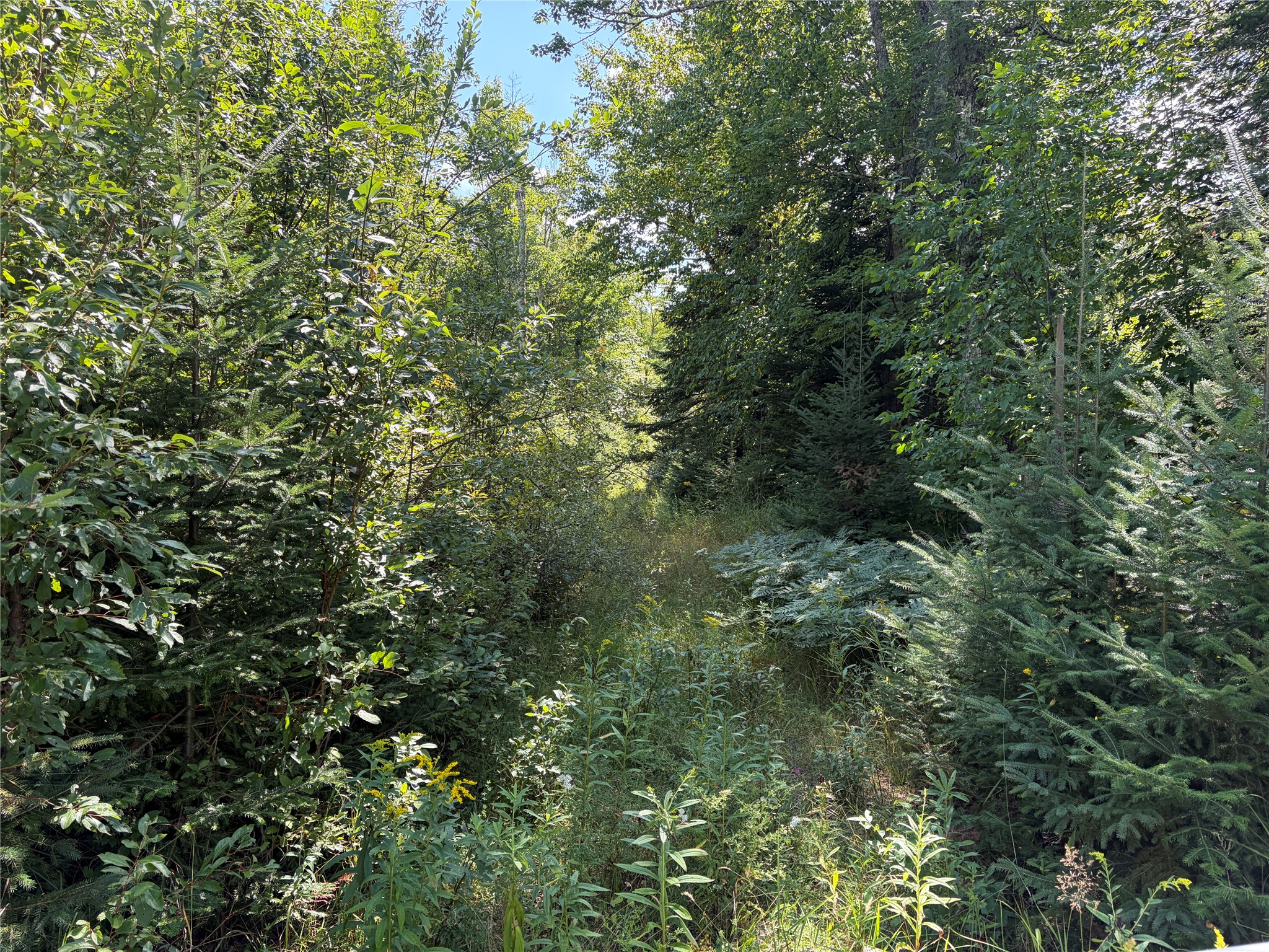 On Schwilk Road Property Photo 7