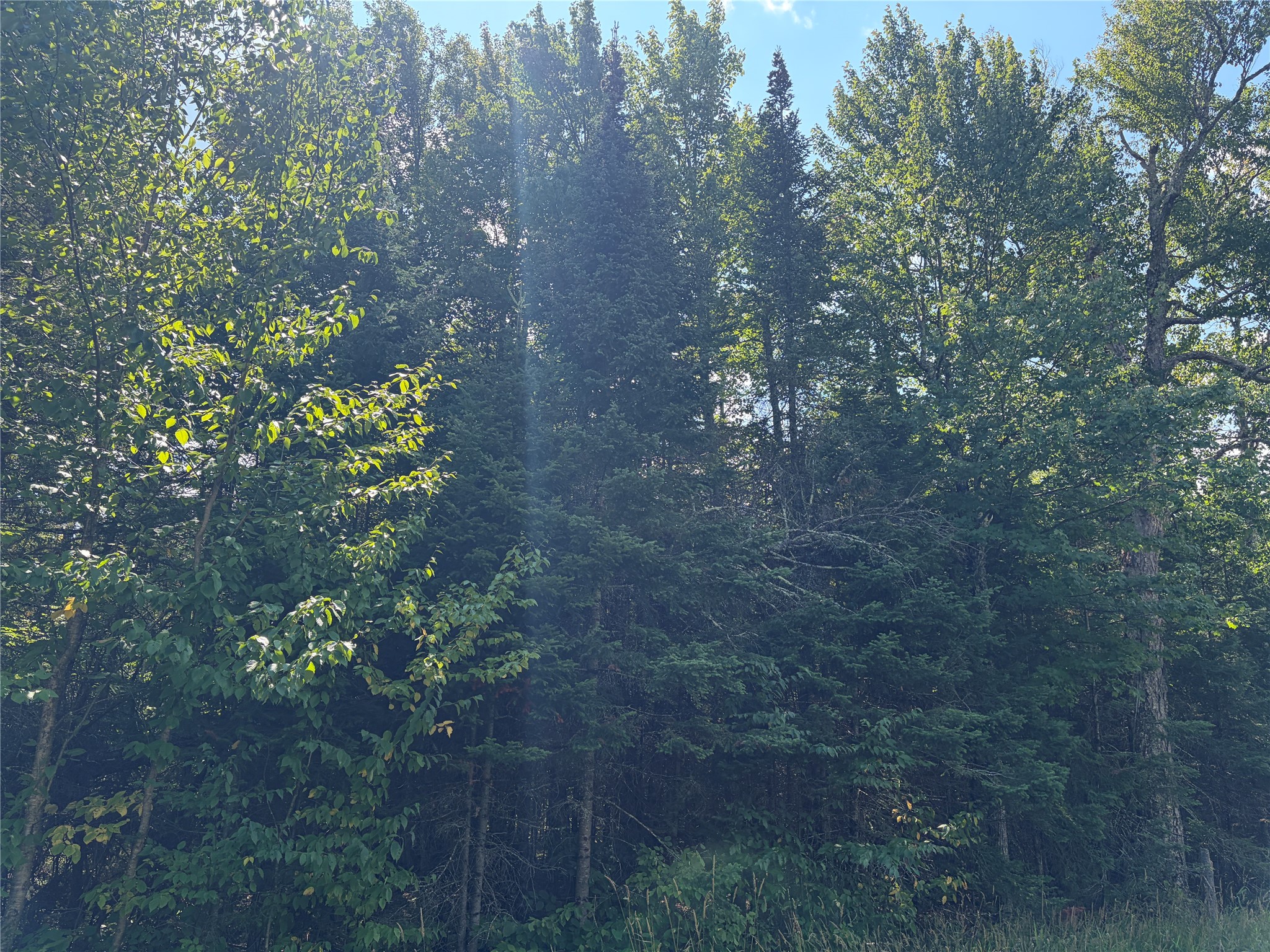 On Schwilk Road Property Photo 8