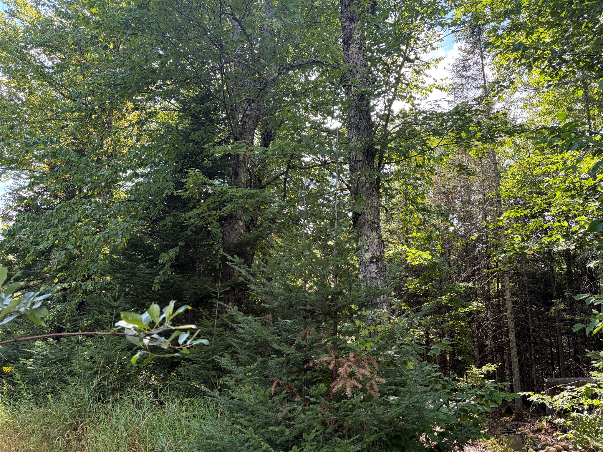 On Schwilk Road Property Photo 9
