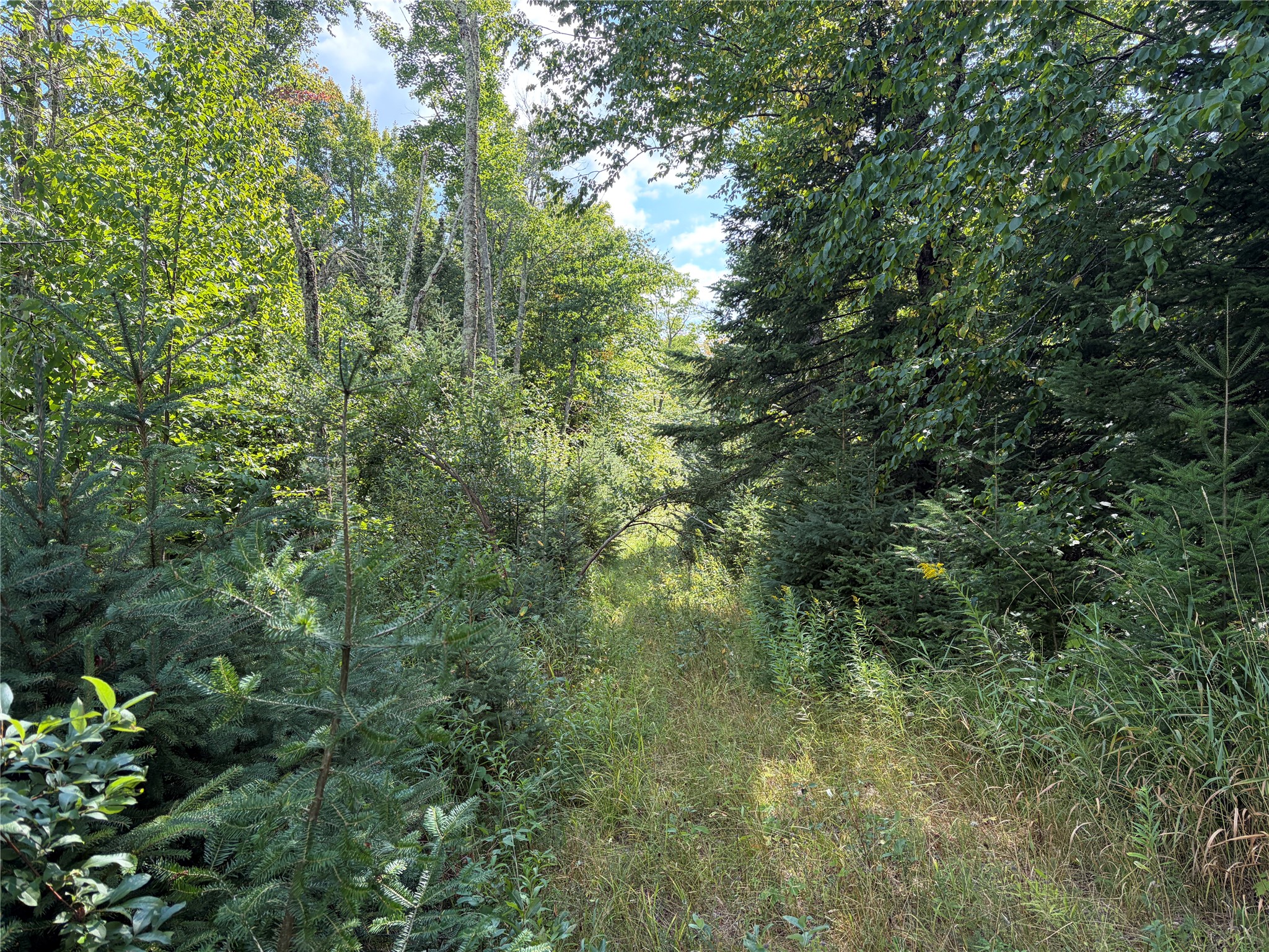 On Schwilk Road Property Photo 10