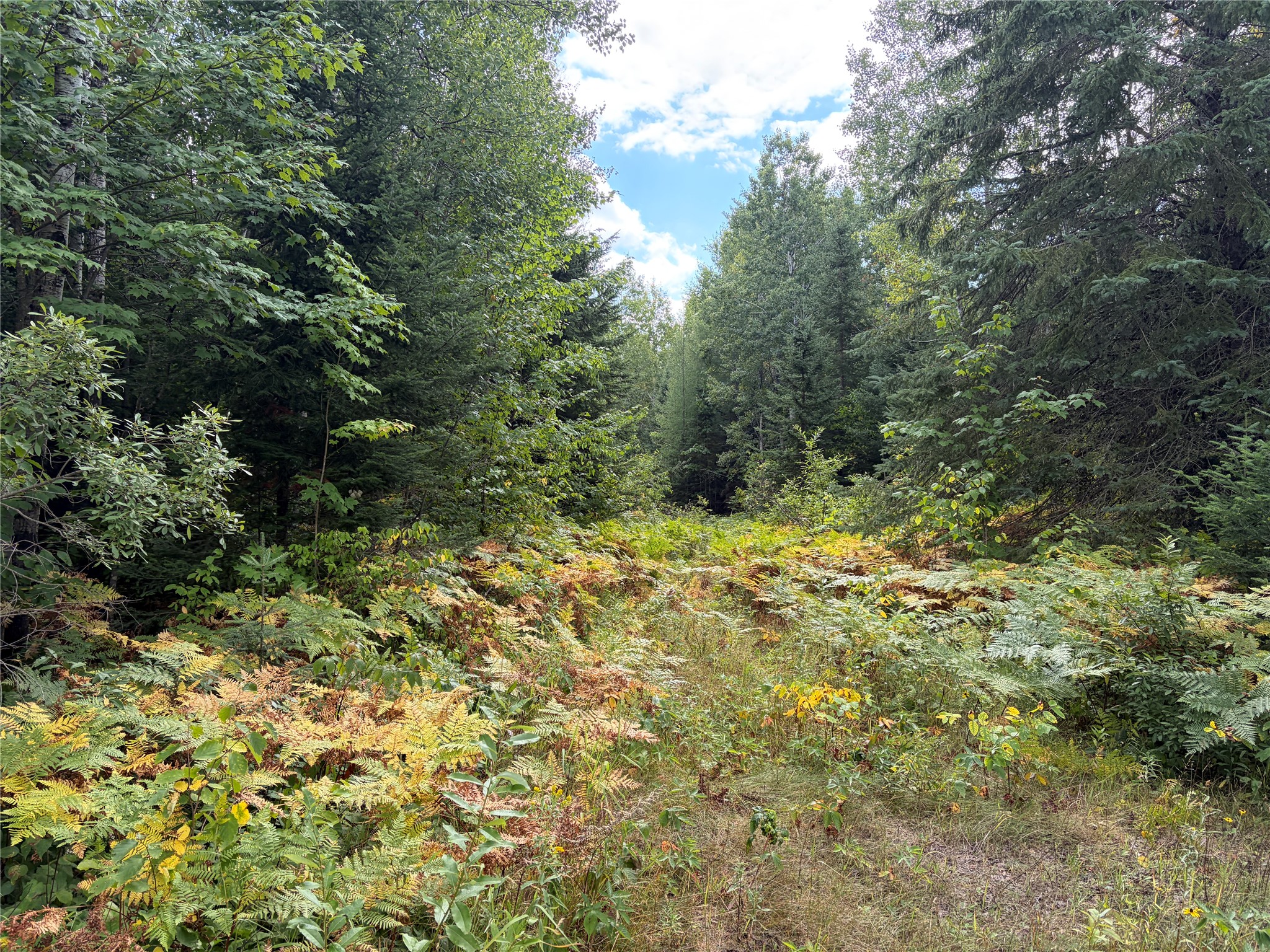 On Schwilk Road Property Photo 2