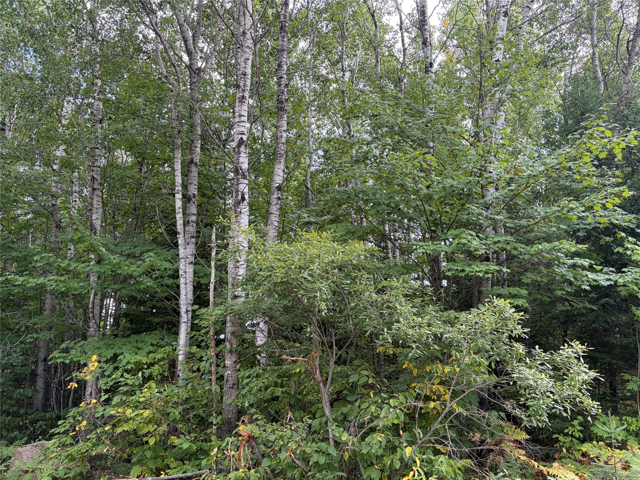 On Schwilk Road Property Photo 3