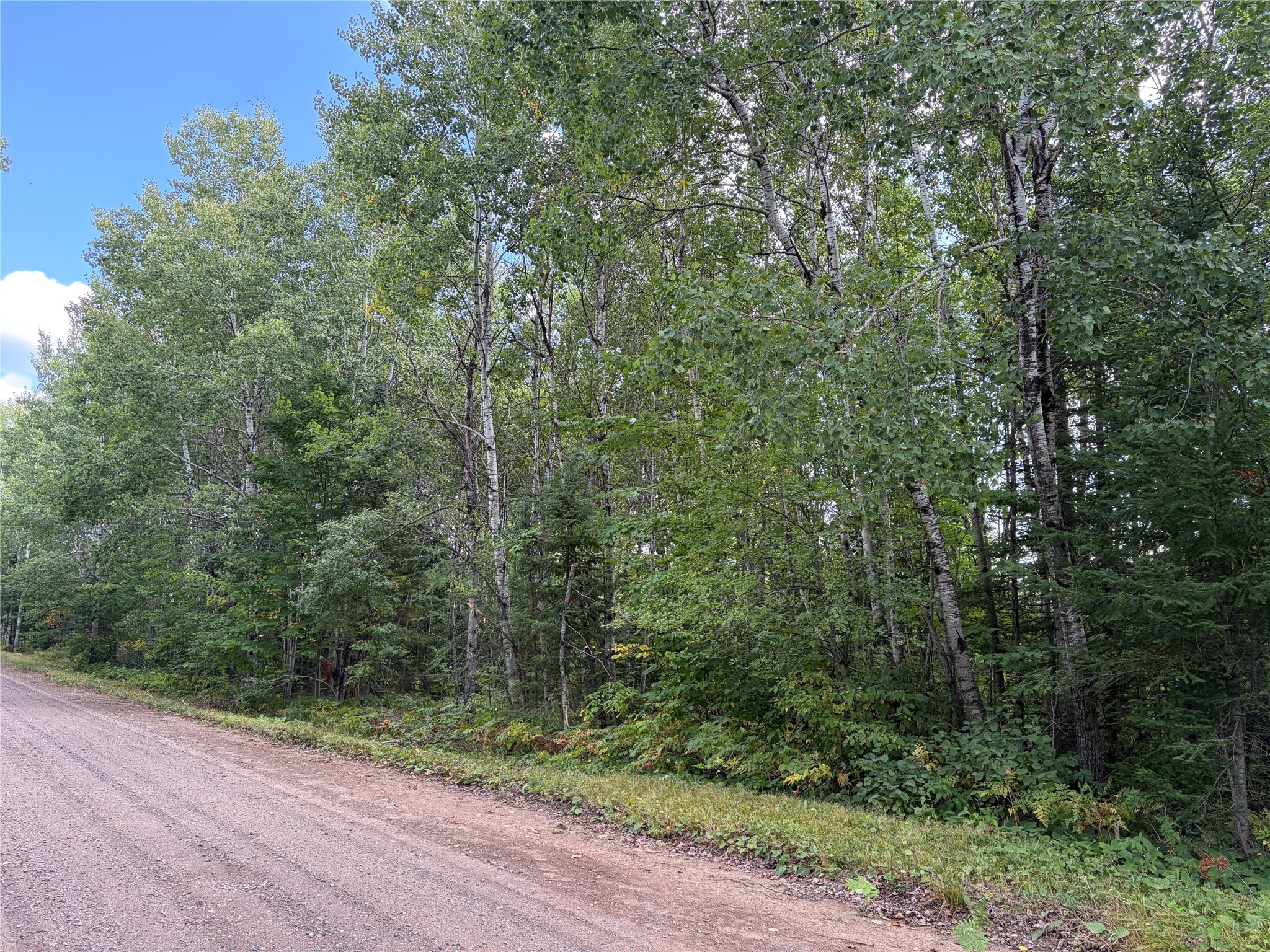 On Schwilk Road Property Photo 4