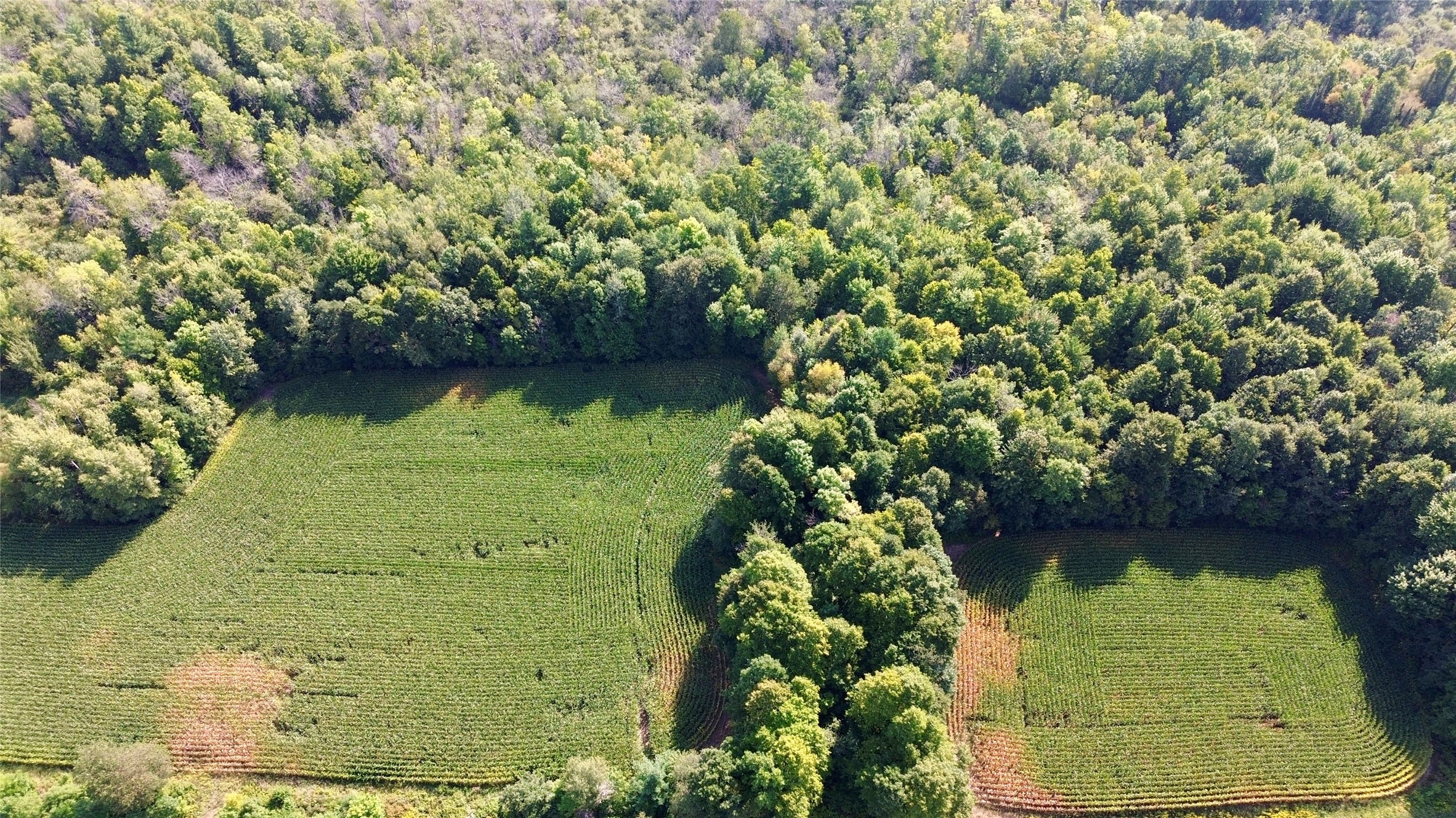 Tbd State Highway 27 Property Photo 1