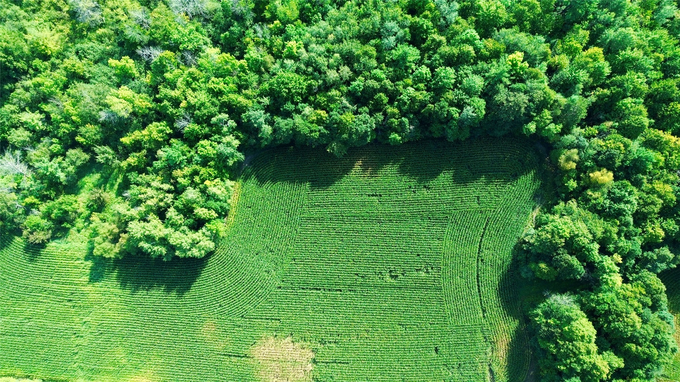 Tbd State Highway 27 Property Photo 2