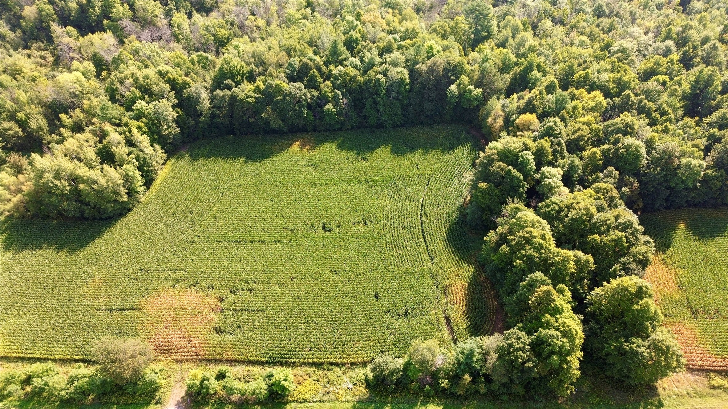 Tbd State Highway 27 Property Photo 3