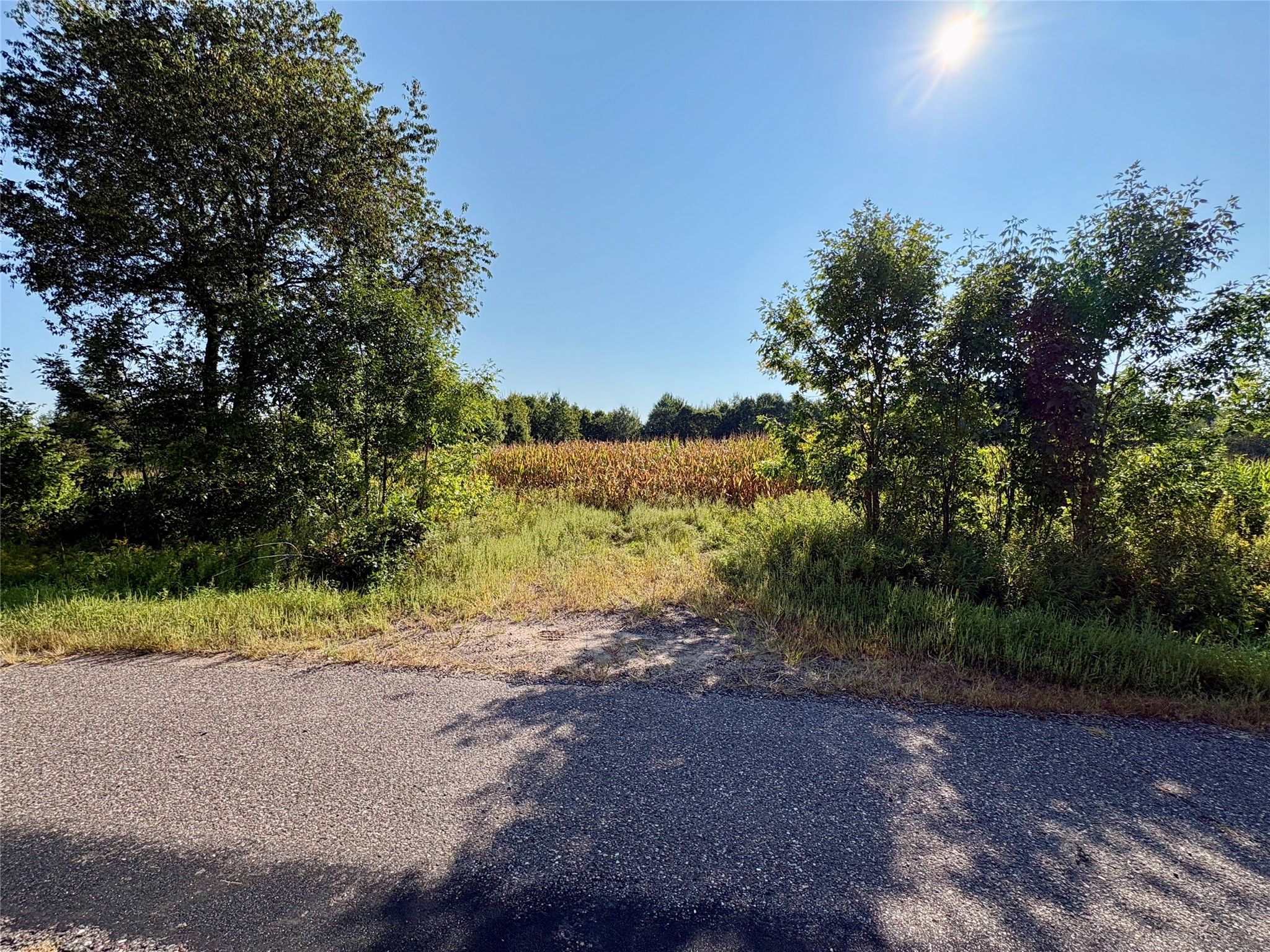 Tbd State Highway 27 Property Photo 6