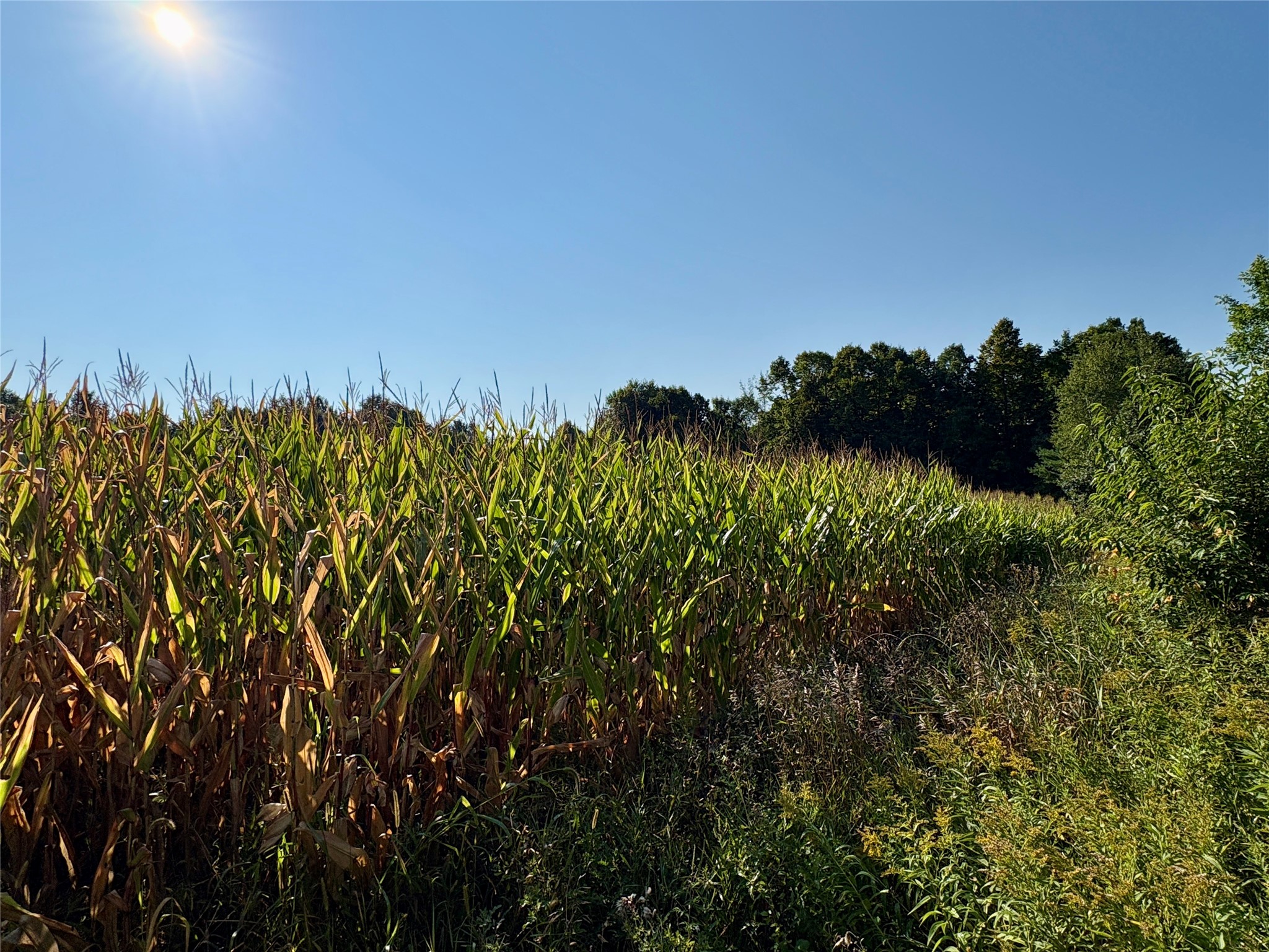 Tbd State Highway 27 Property Photo 7