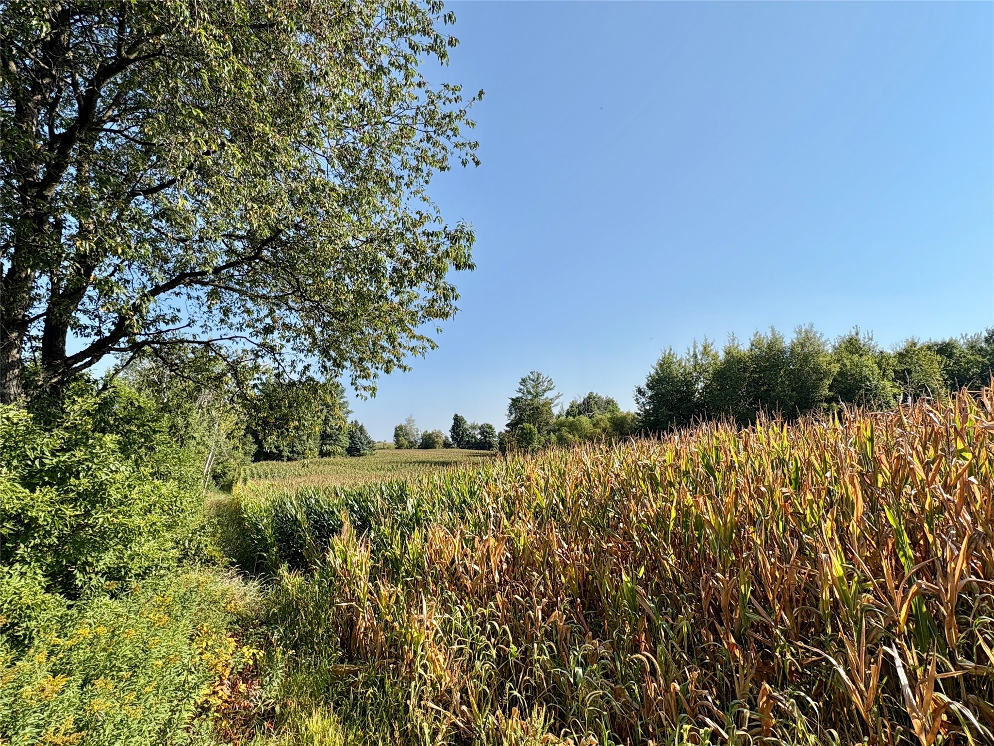 Tbd State Highway 27 Property Photo 8