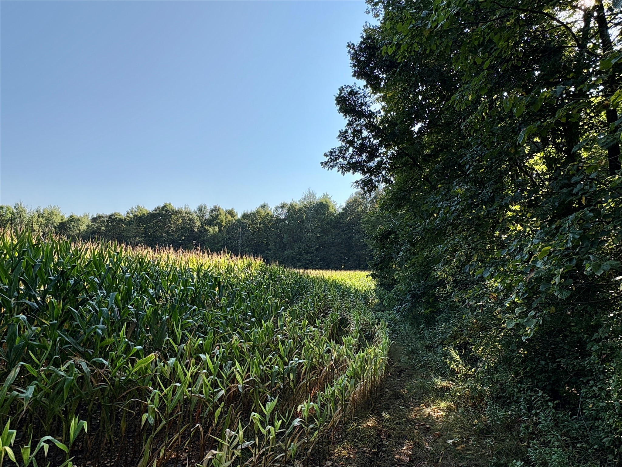 Tbd State Highway 27 Property Photo 9