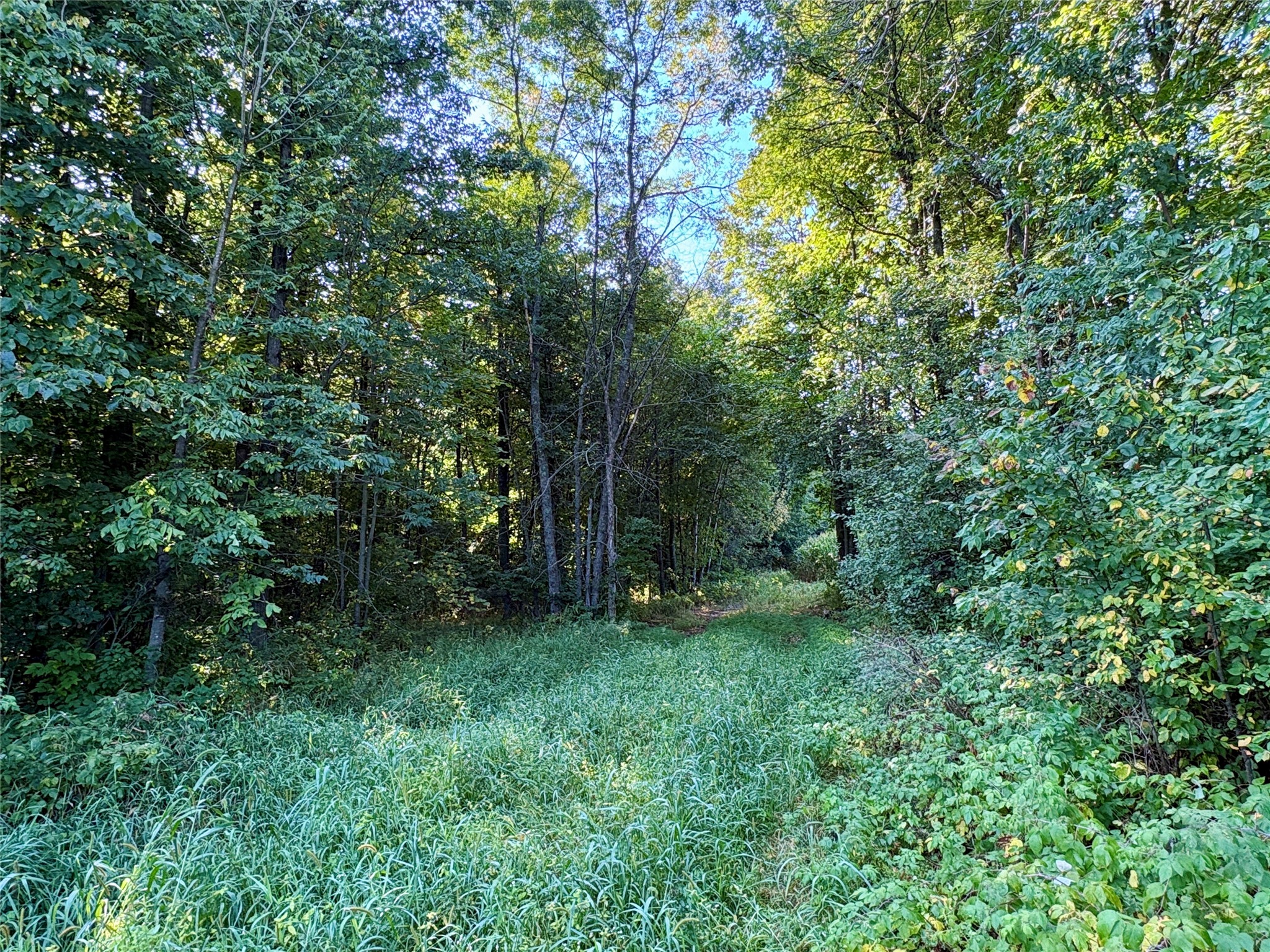 Tbd State Highway 27 Property Photo 10