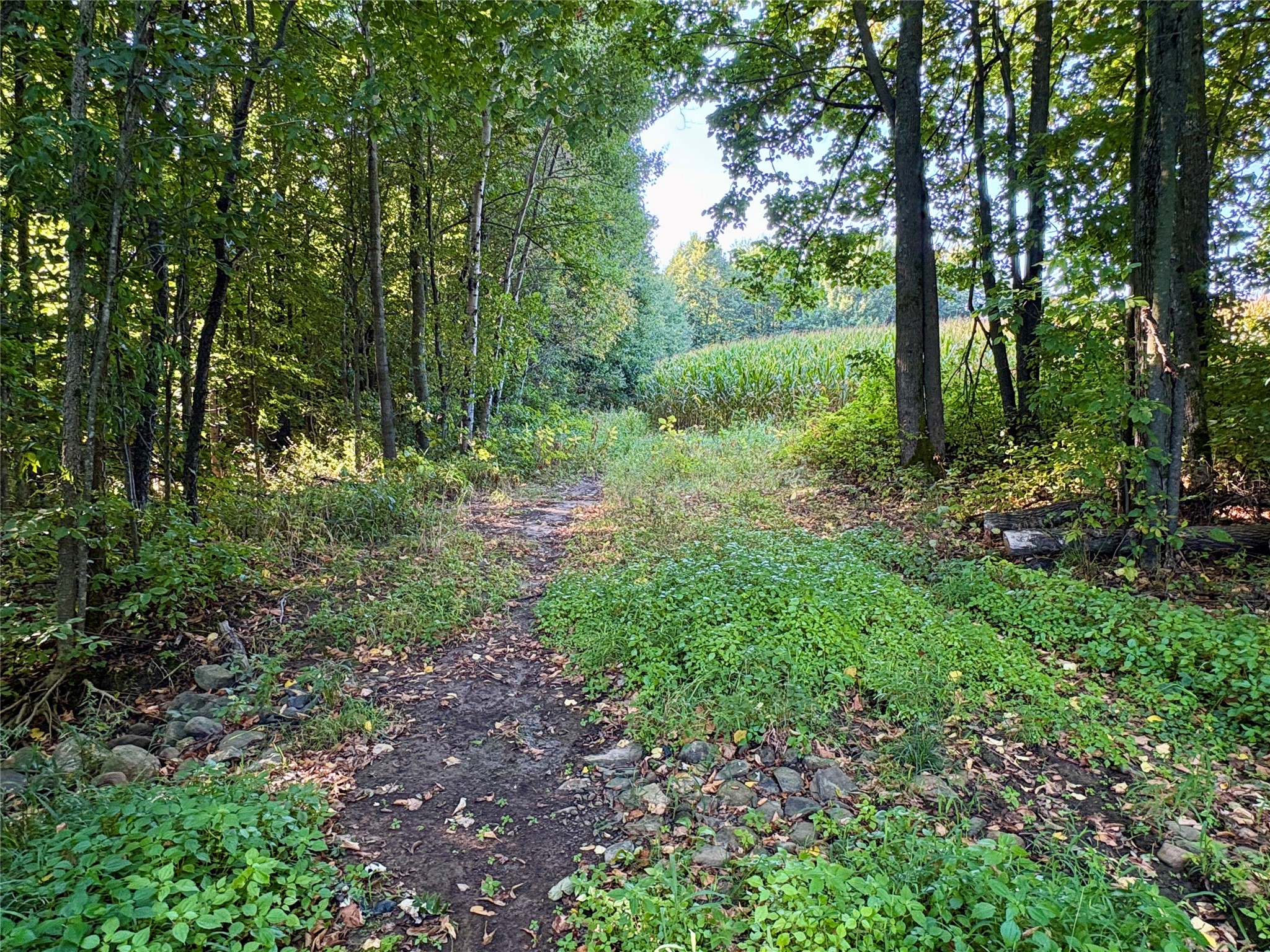 Tbd State Highway 27 Property Photo 11