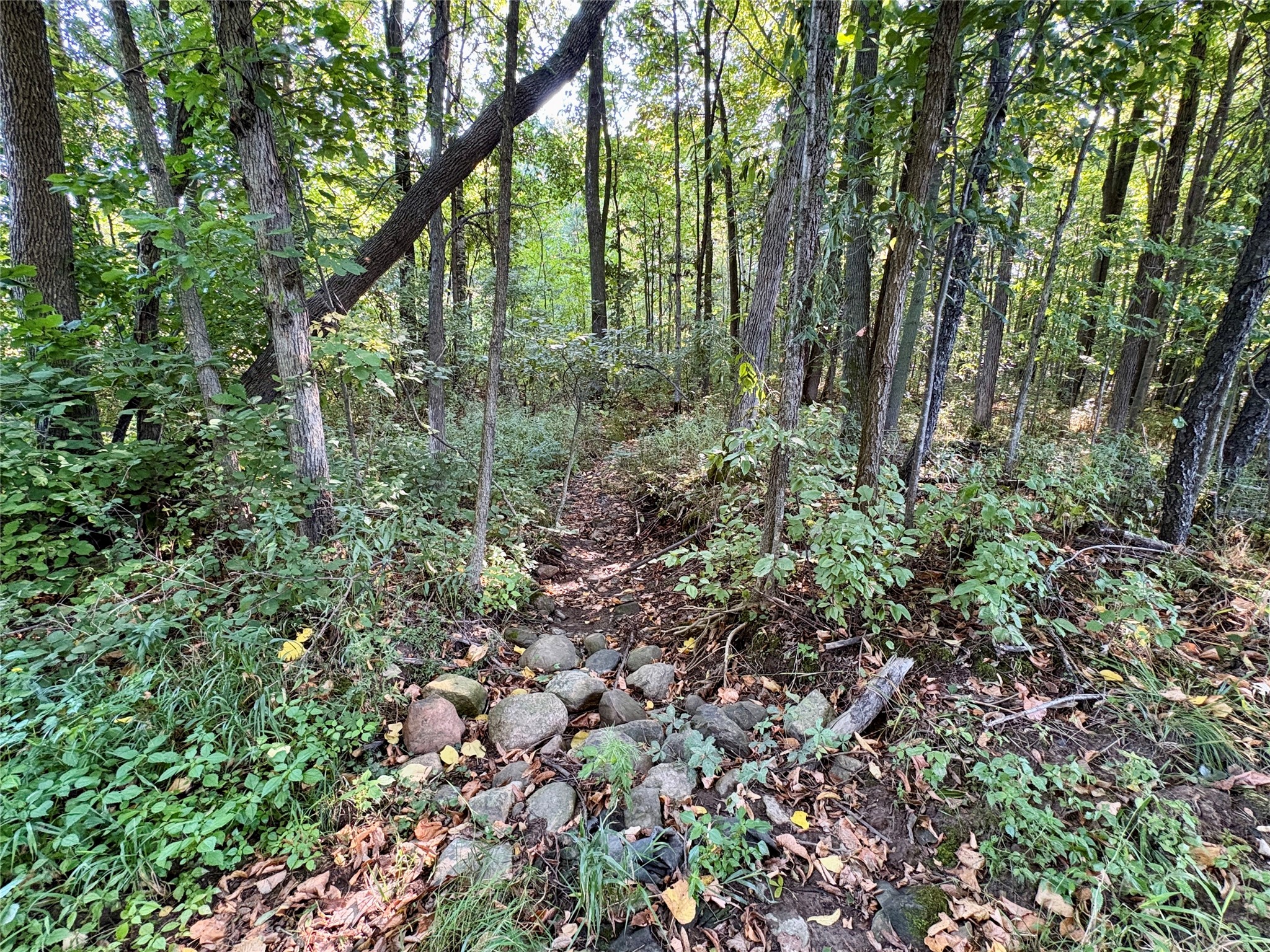 Tbd State Highway 27 Property Photo 12