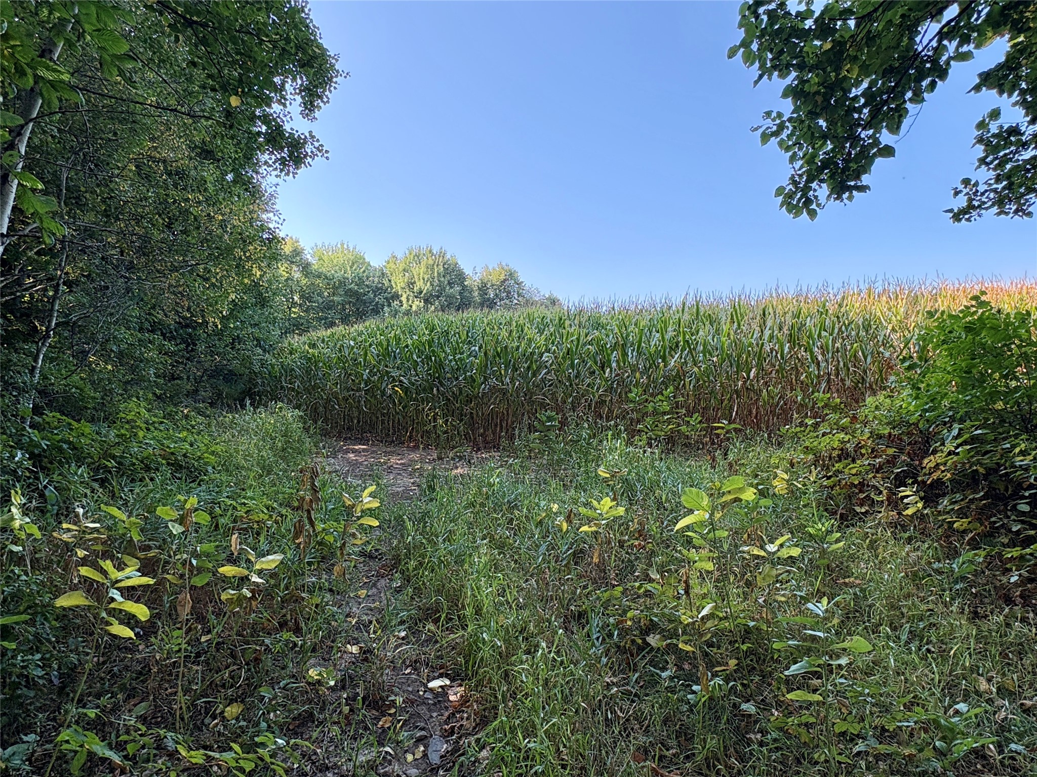 Tbd State Highway 27 Property Photo 13