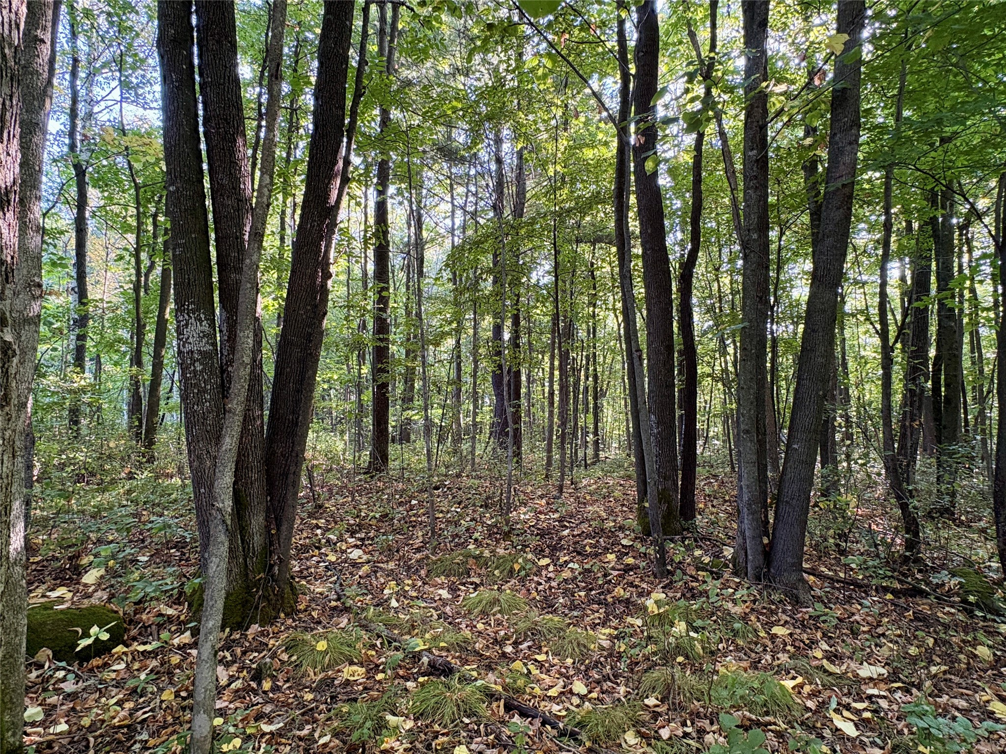 Tbd State Highway 27 Property Photo 14