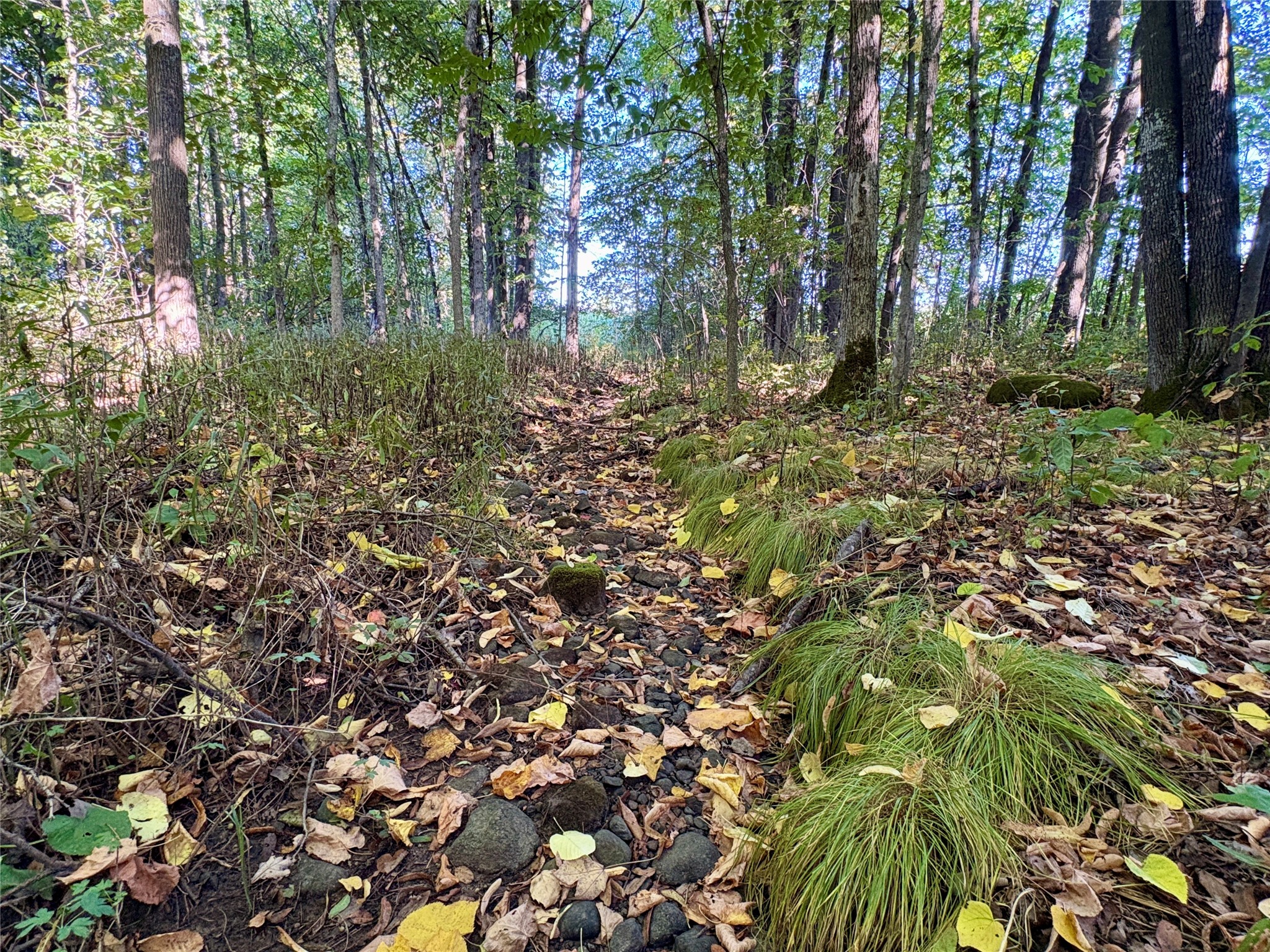 Tbd State Highway 27 Property Photo 15
