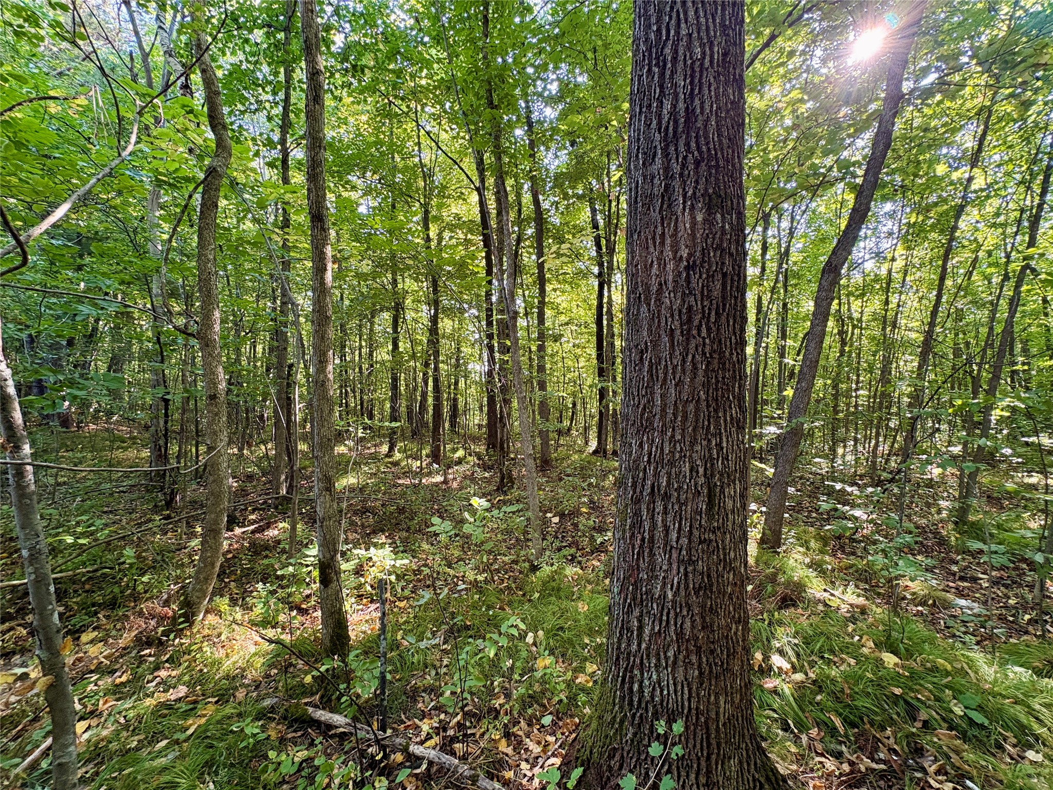 Tbd State Highway 27 Property Photo 16