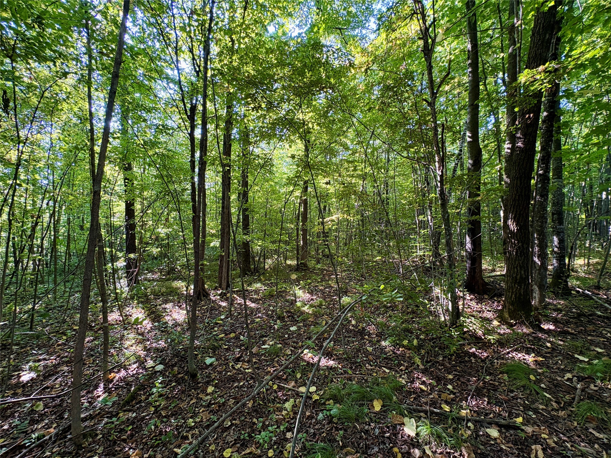 Tbd State Highway 27 Property Photo 17