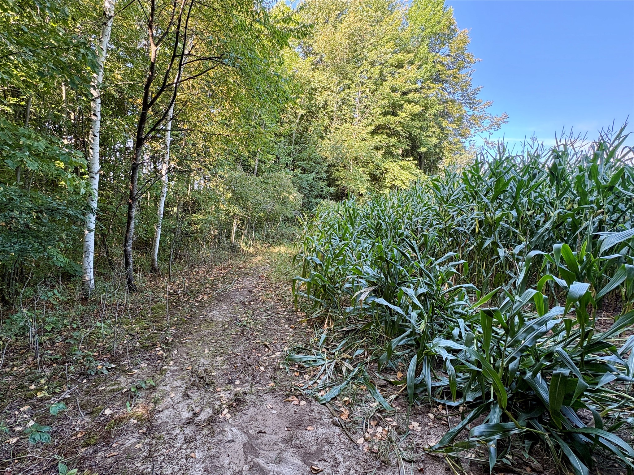 Tbd State Highway 27 Property Photo 18