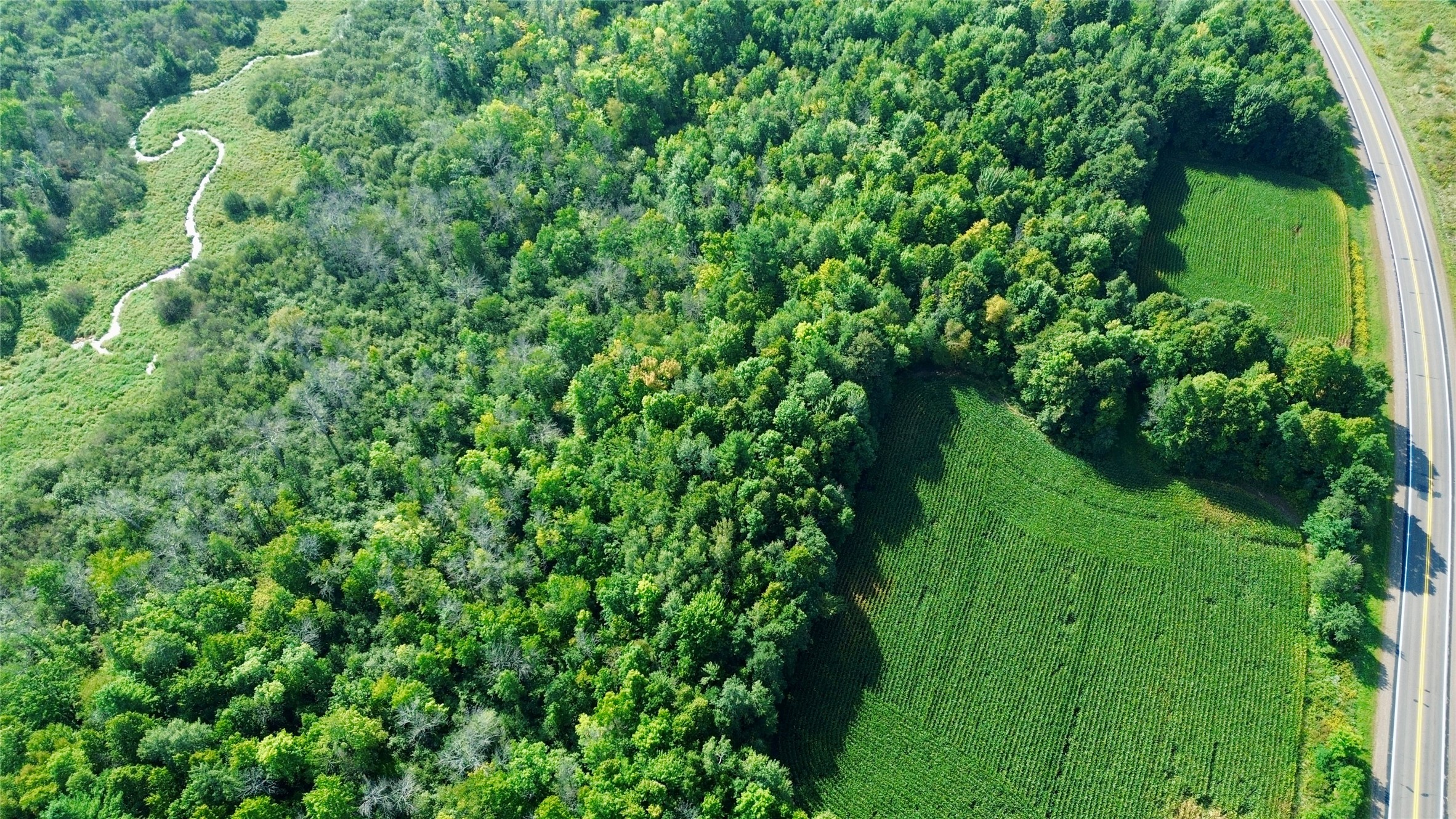 Tbd State Highway 27 Property Photo 19
