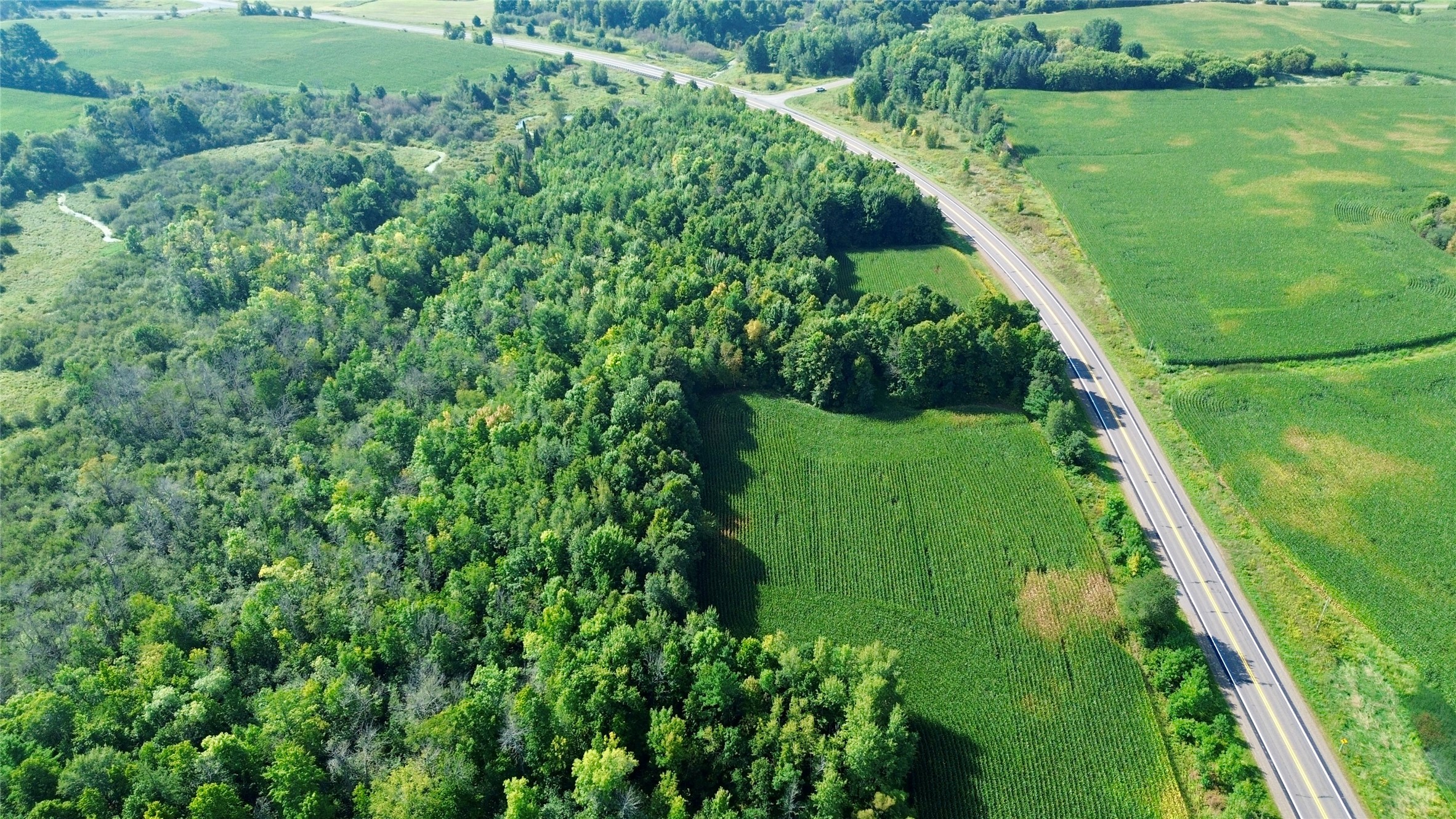 Tbd State Highway 27 Property Photo 21