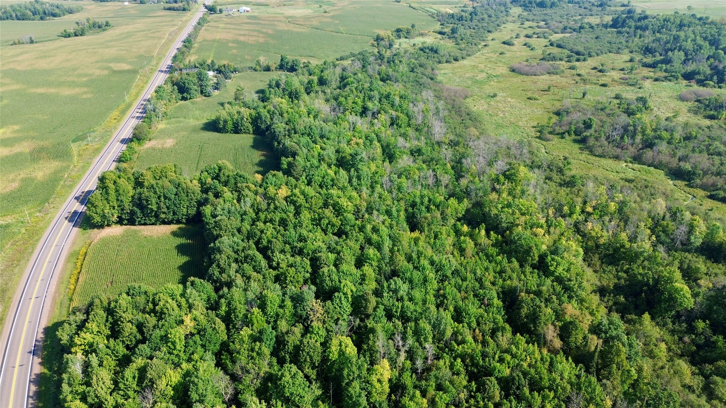 Tbd State Highway 27 Property Photo 22