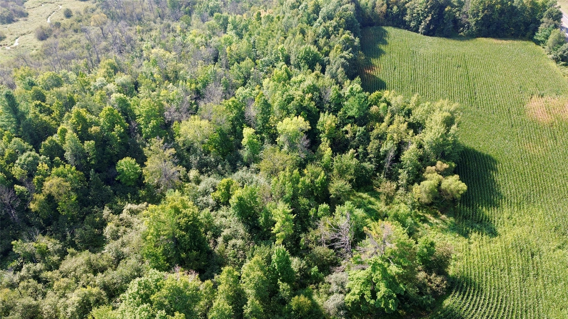 Tbd State Highway 27 Property Photo 24