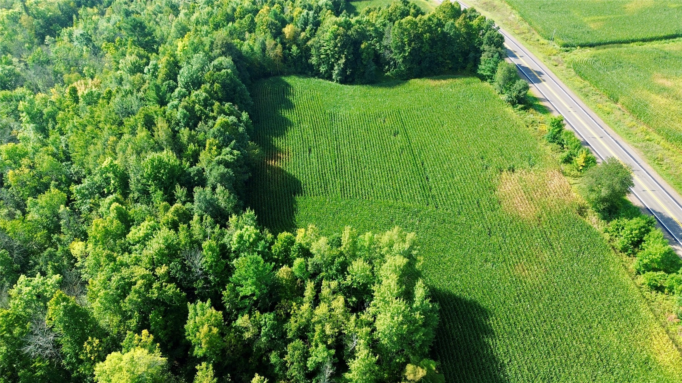 Tbd State Highway 27 Property Photo 25