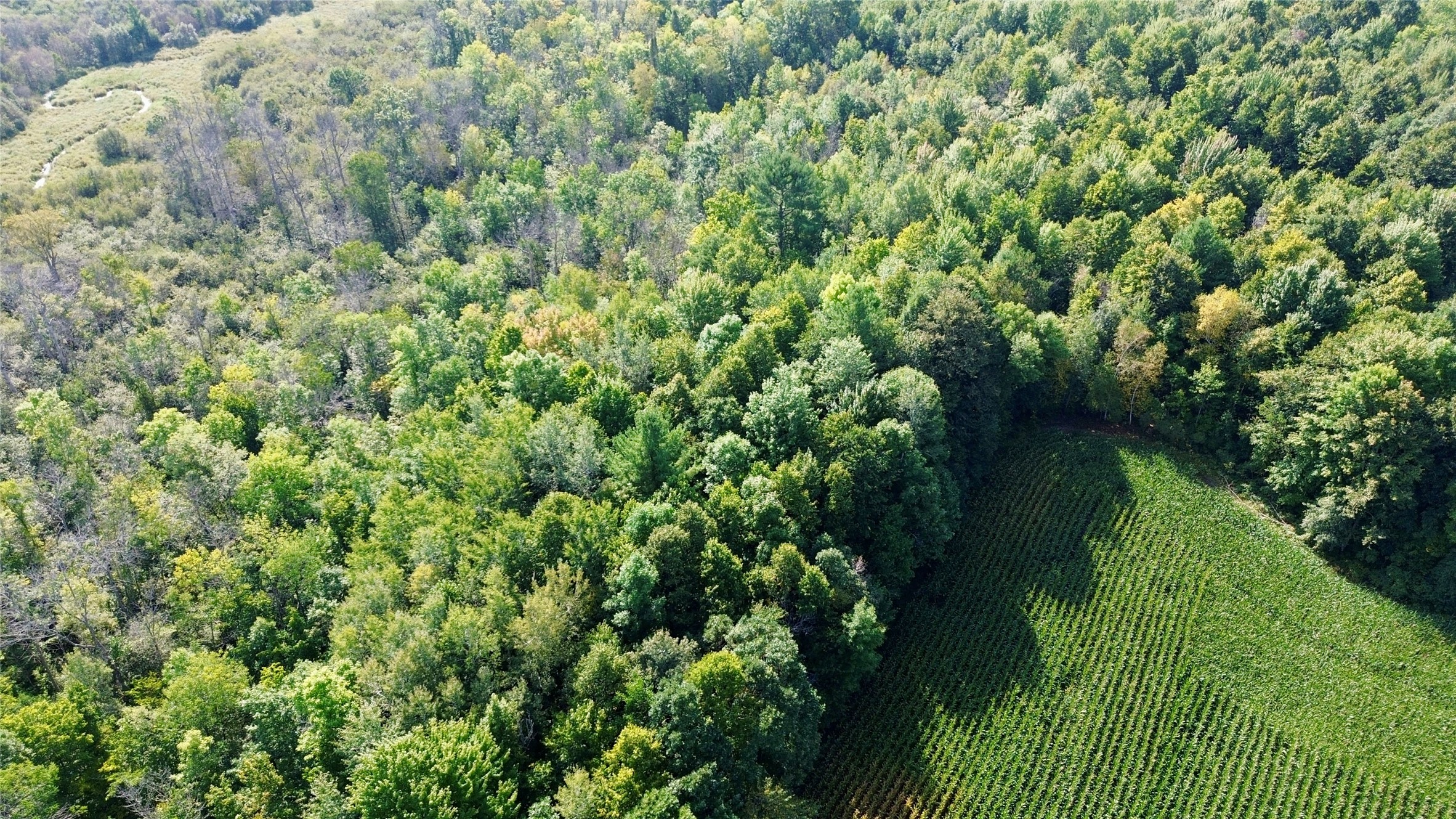 Tbd State Highway 27 Property Photo 26