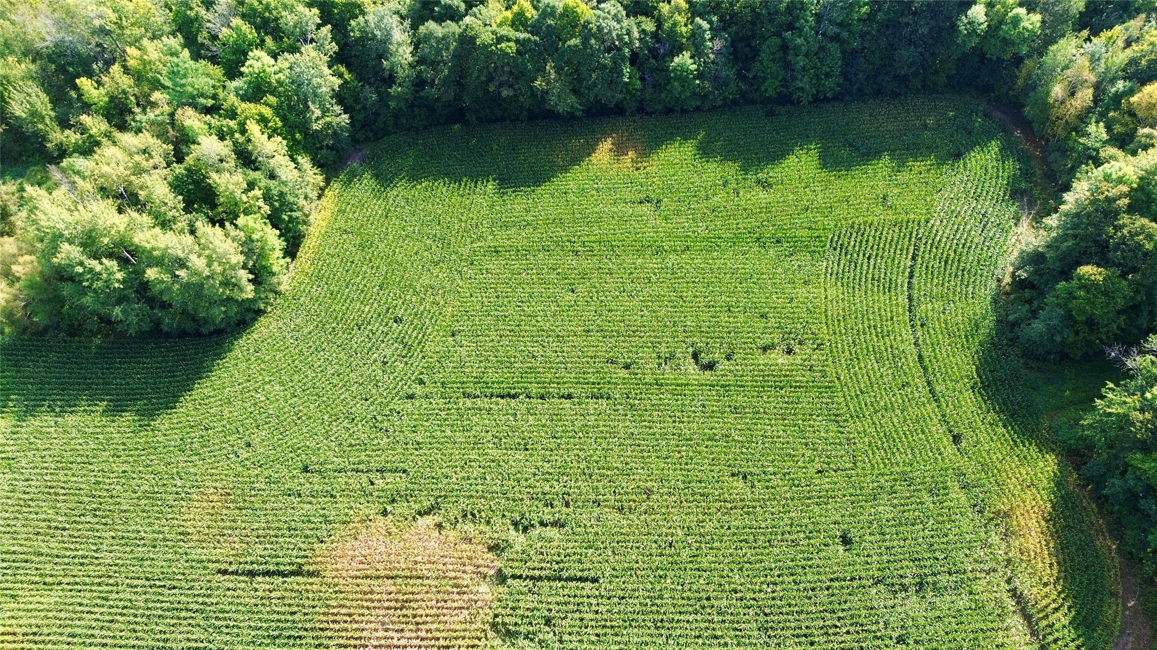 Tbd State Highway 27 Property Photo 28