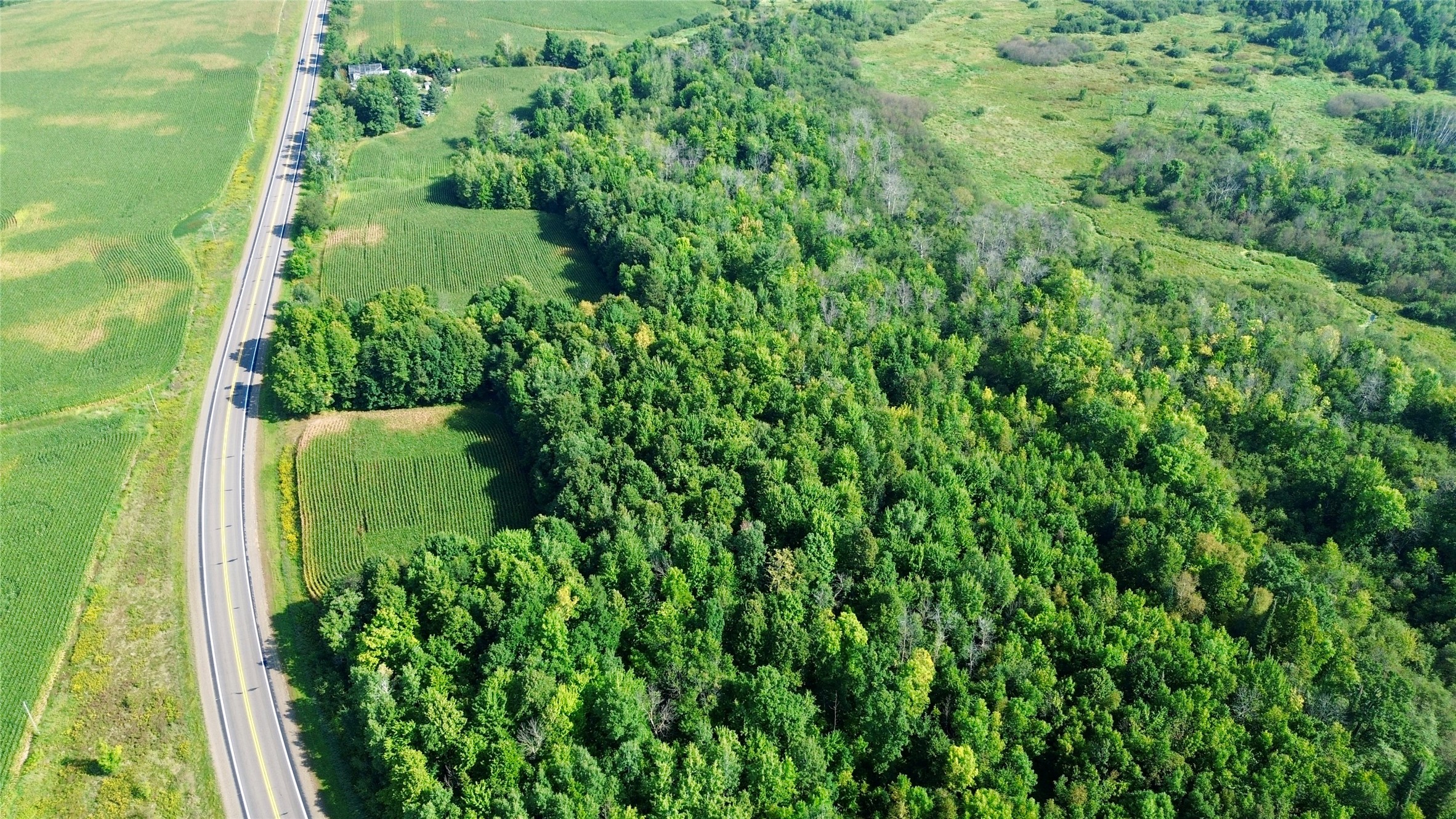 Tbd State Highway 27 Property Photo 29