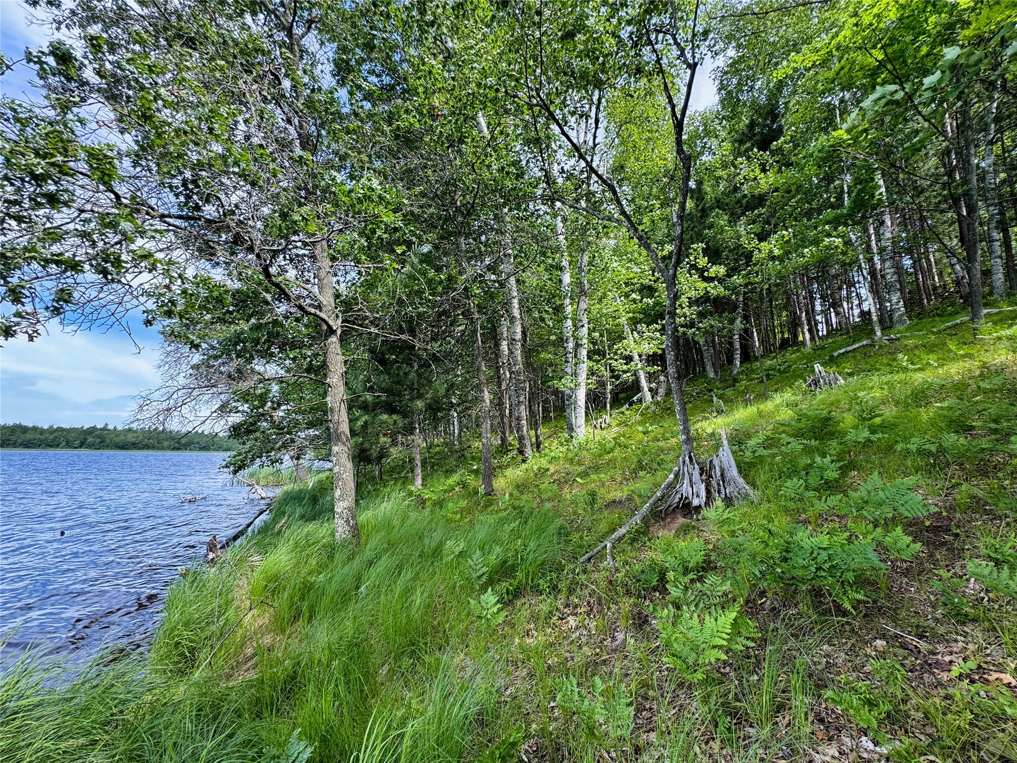 11149 N Merganser Lane Property Photo 9