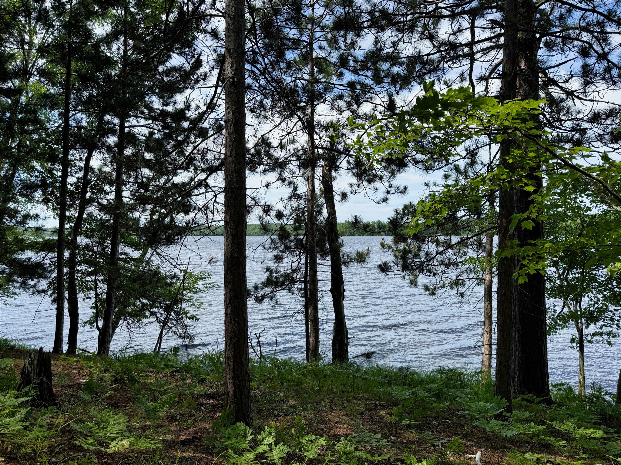 11149 N Merganser Lane Property Photo 26