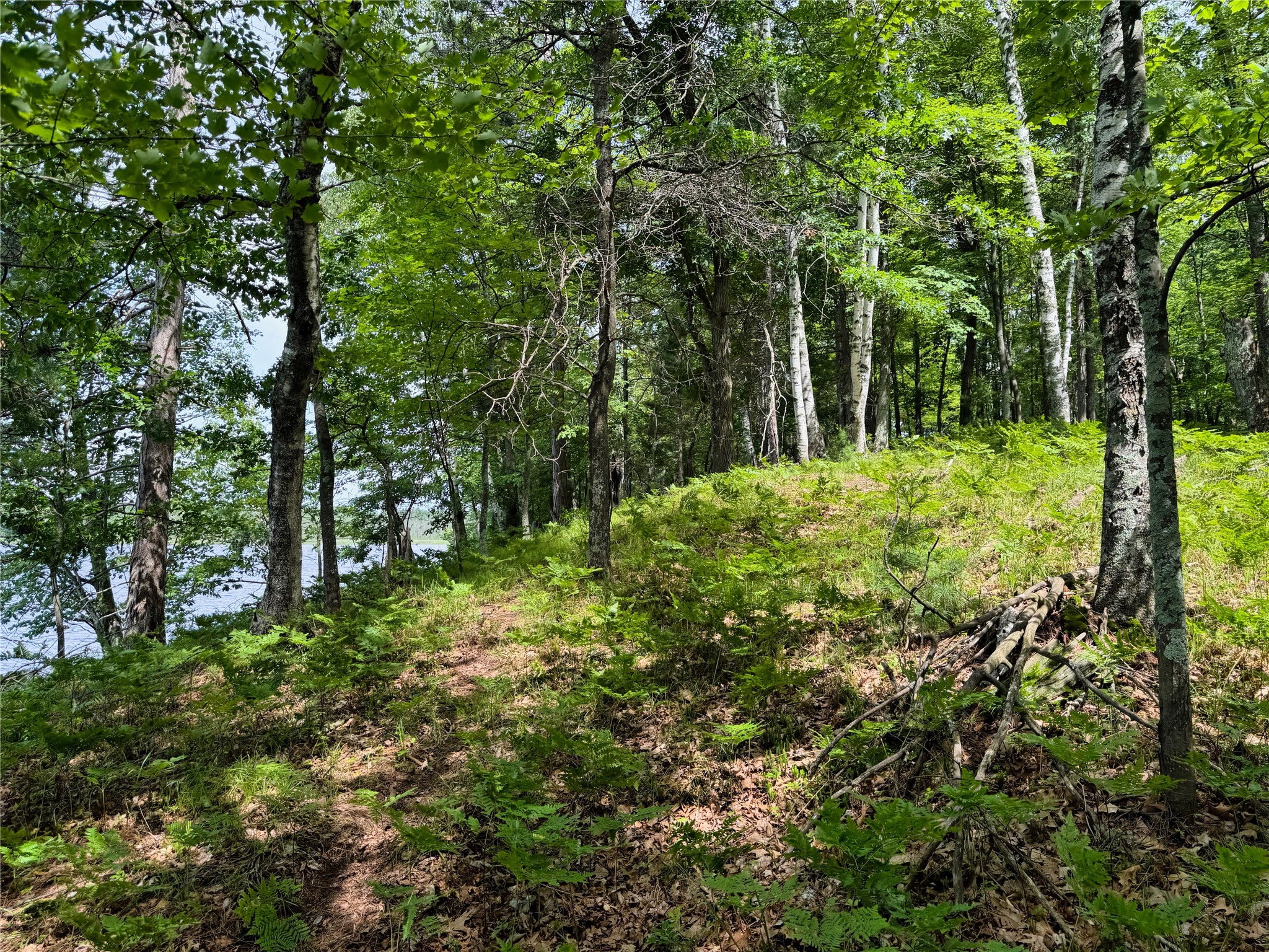 11149 N Merganser Lane Property Photo 30