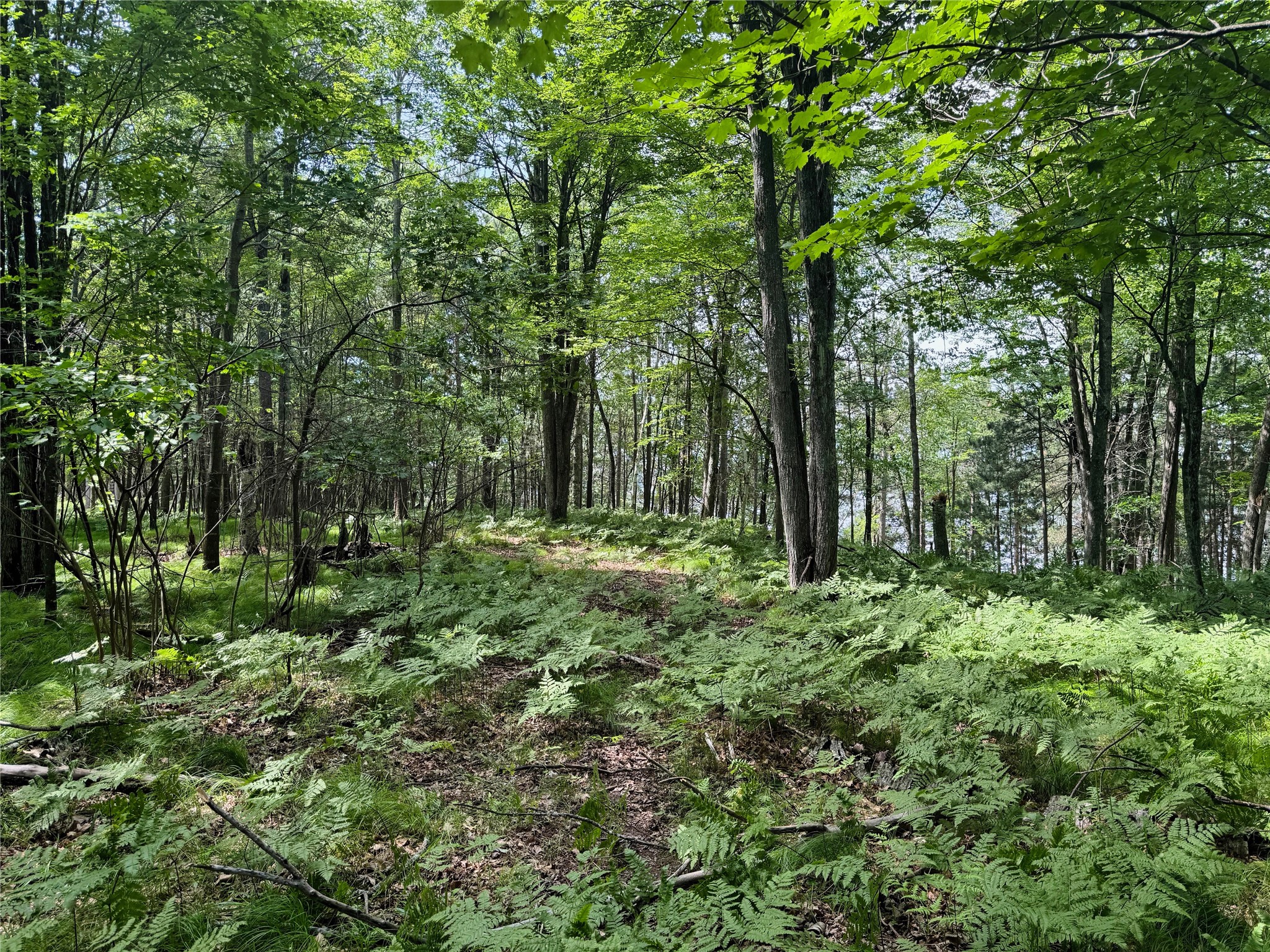 11149 N Merganser Lane Property Photo 36