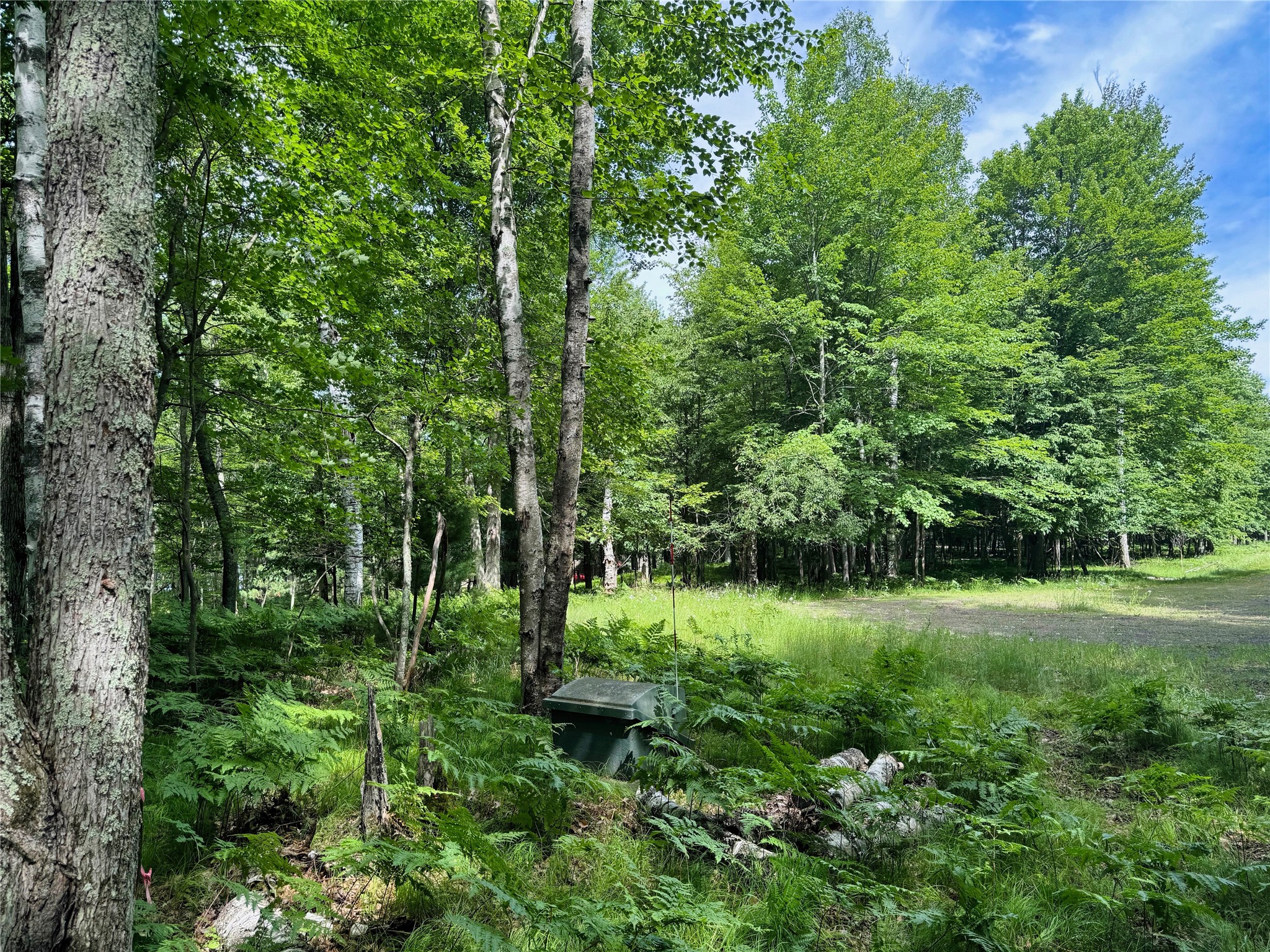 11149 N Merganser Lane Property Photo 38