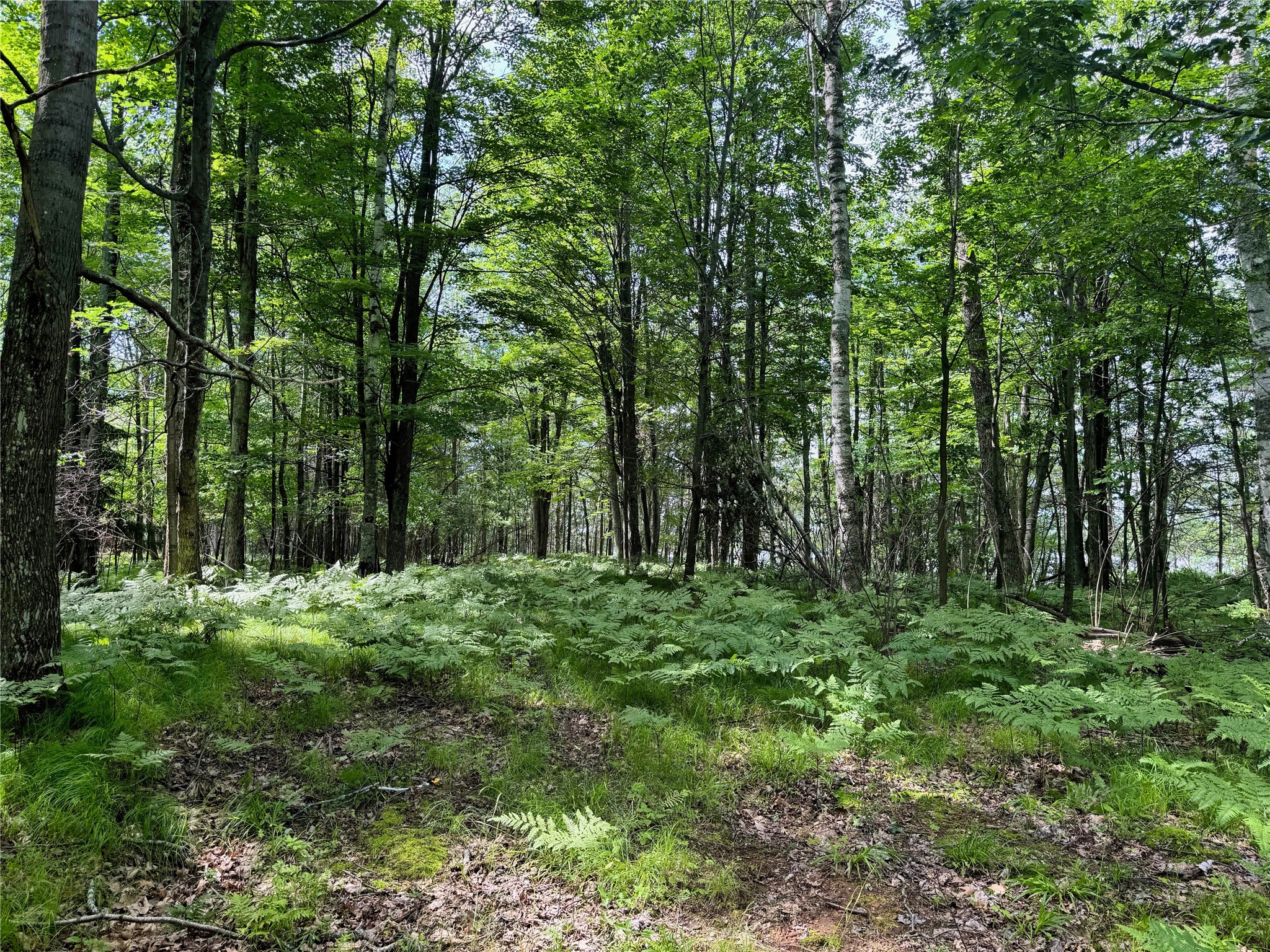 11149 N Merganser Lane Property Photo 40