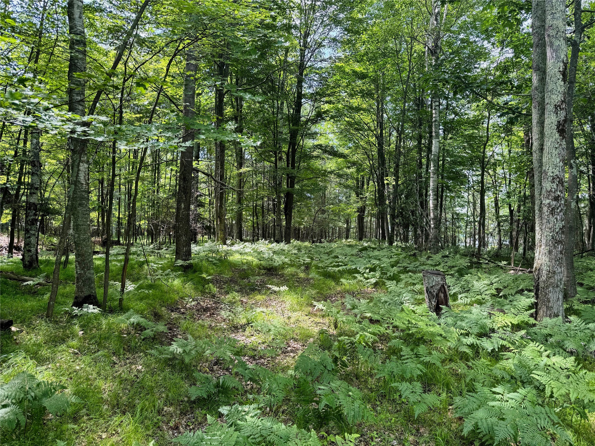 11149 N Merganser Lane Property Photo 41