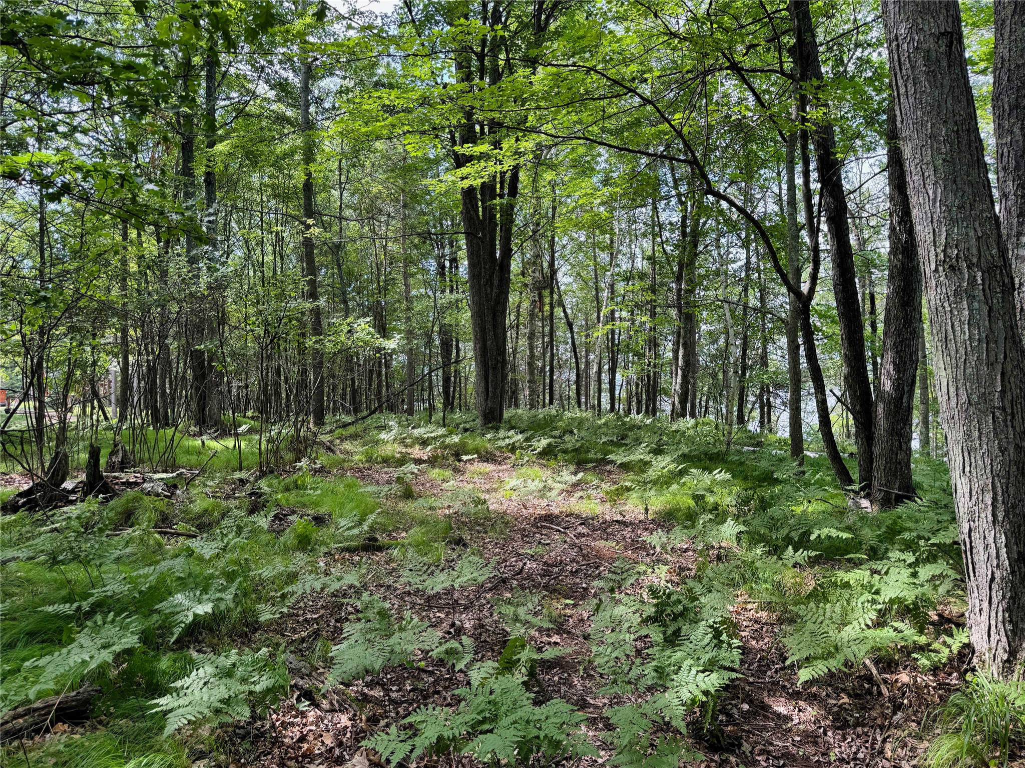 11149 N Merganser Lane Property Photo 43