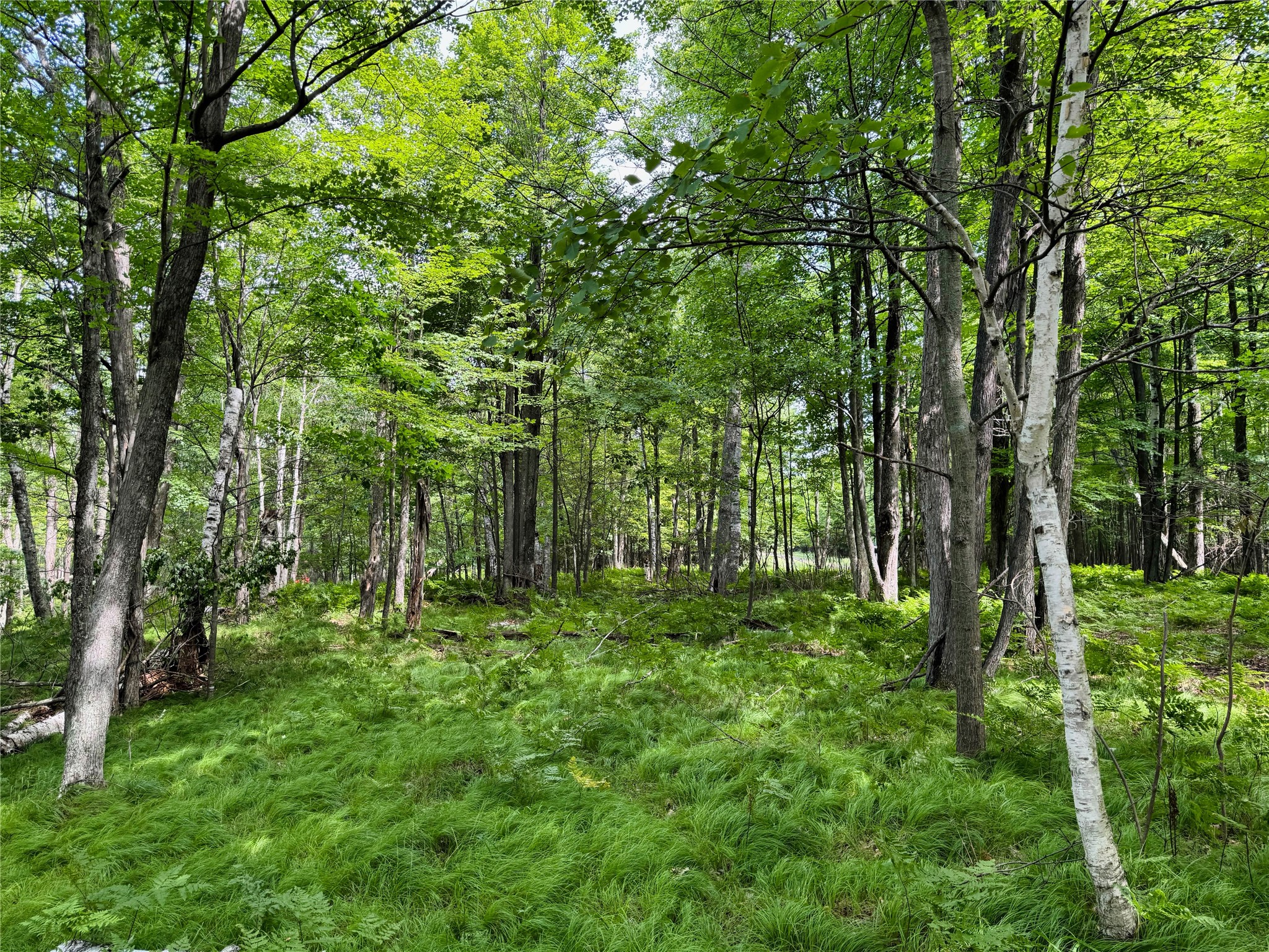 11149 N Merganser Lane Property Photo 44