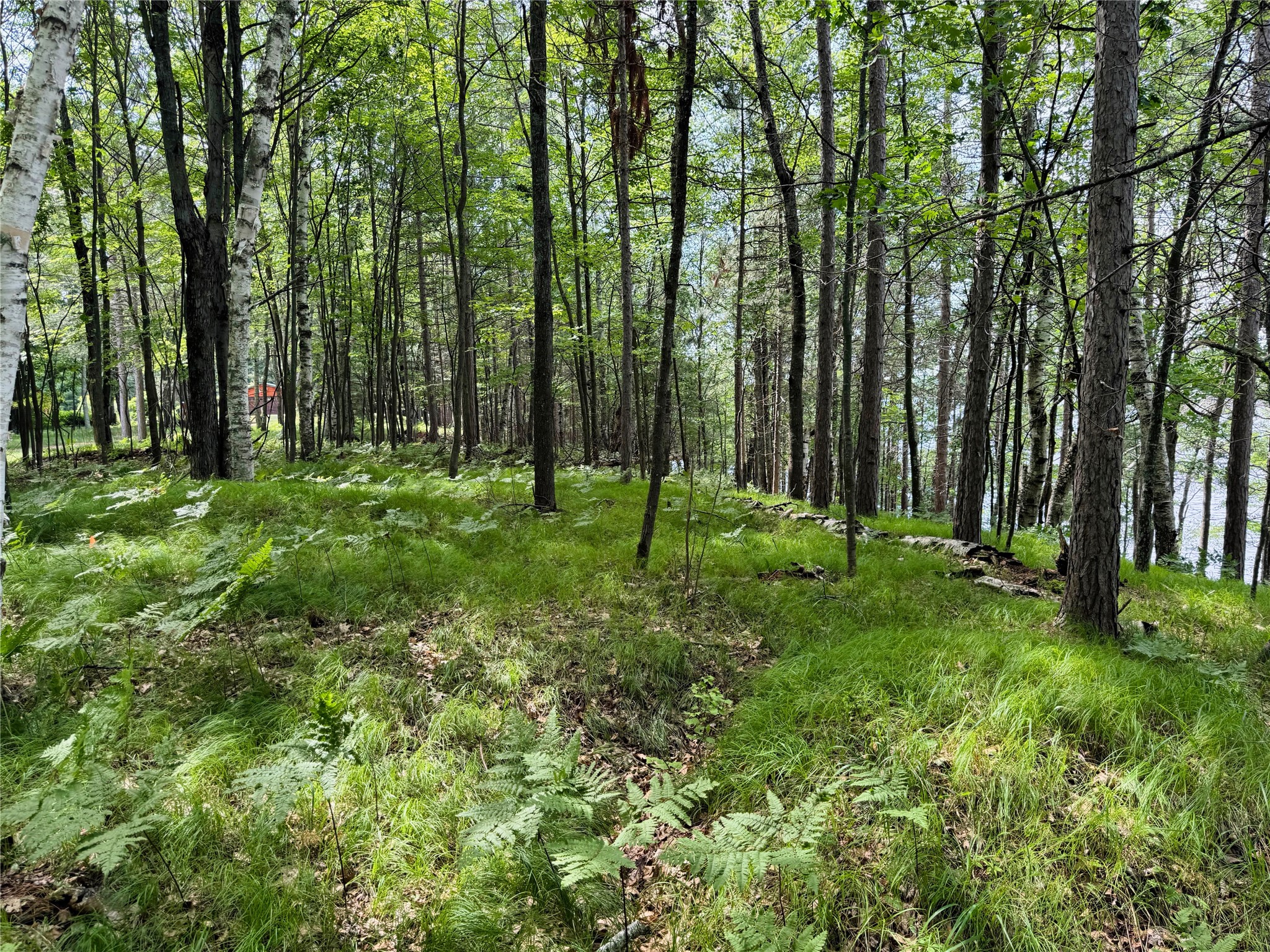 11149 N Merganser Lane Property Photo 45