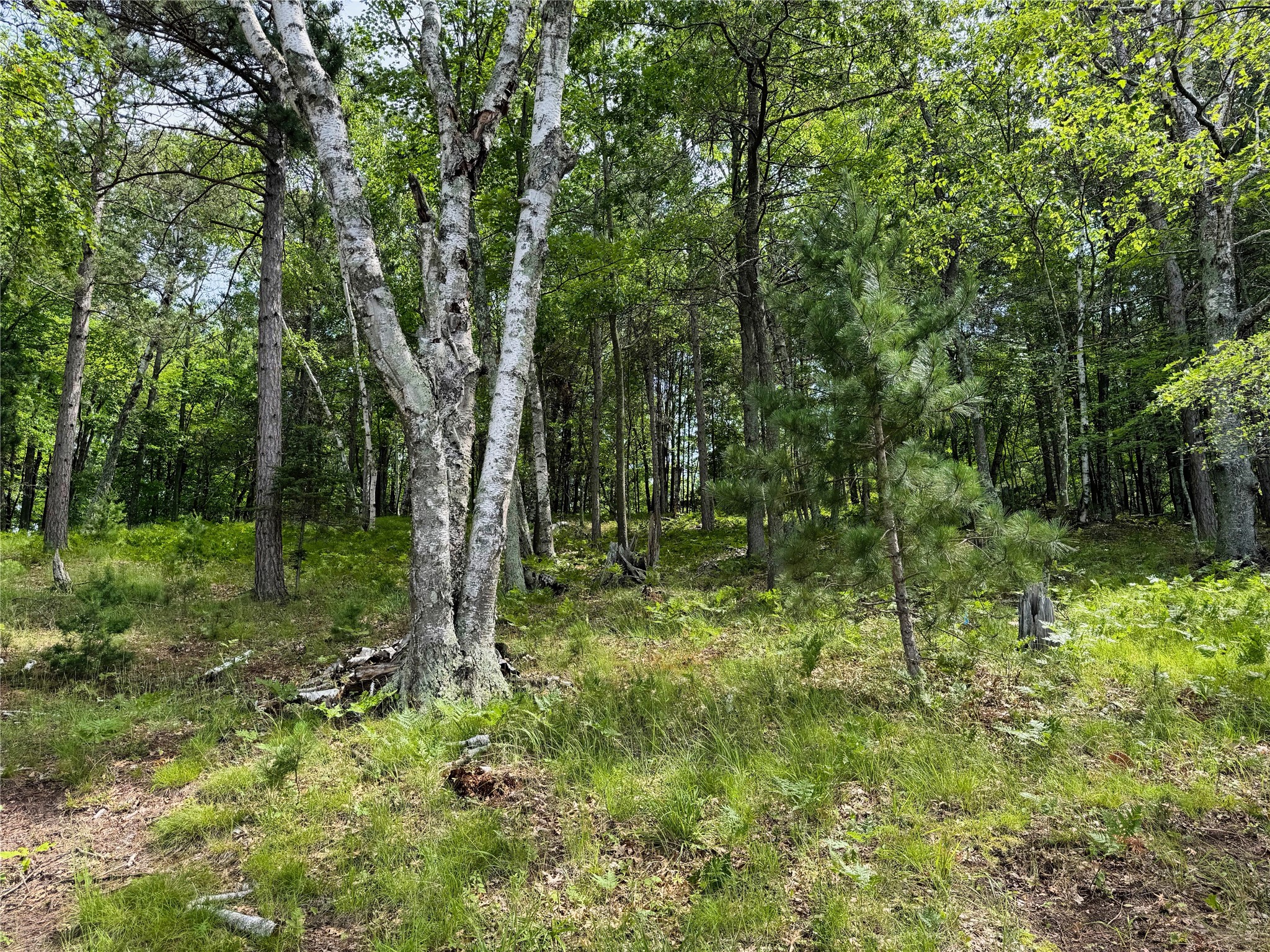 11149 N Merganser Lane Property Photo 47