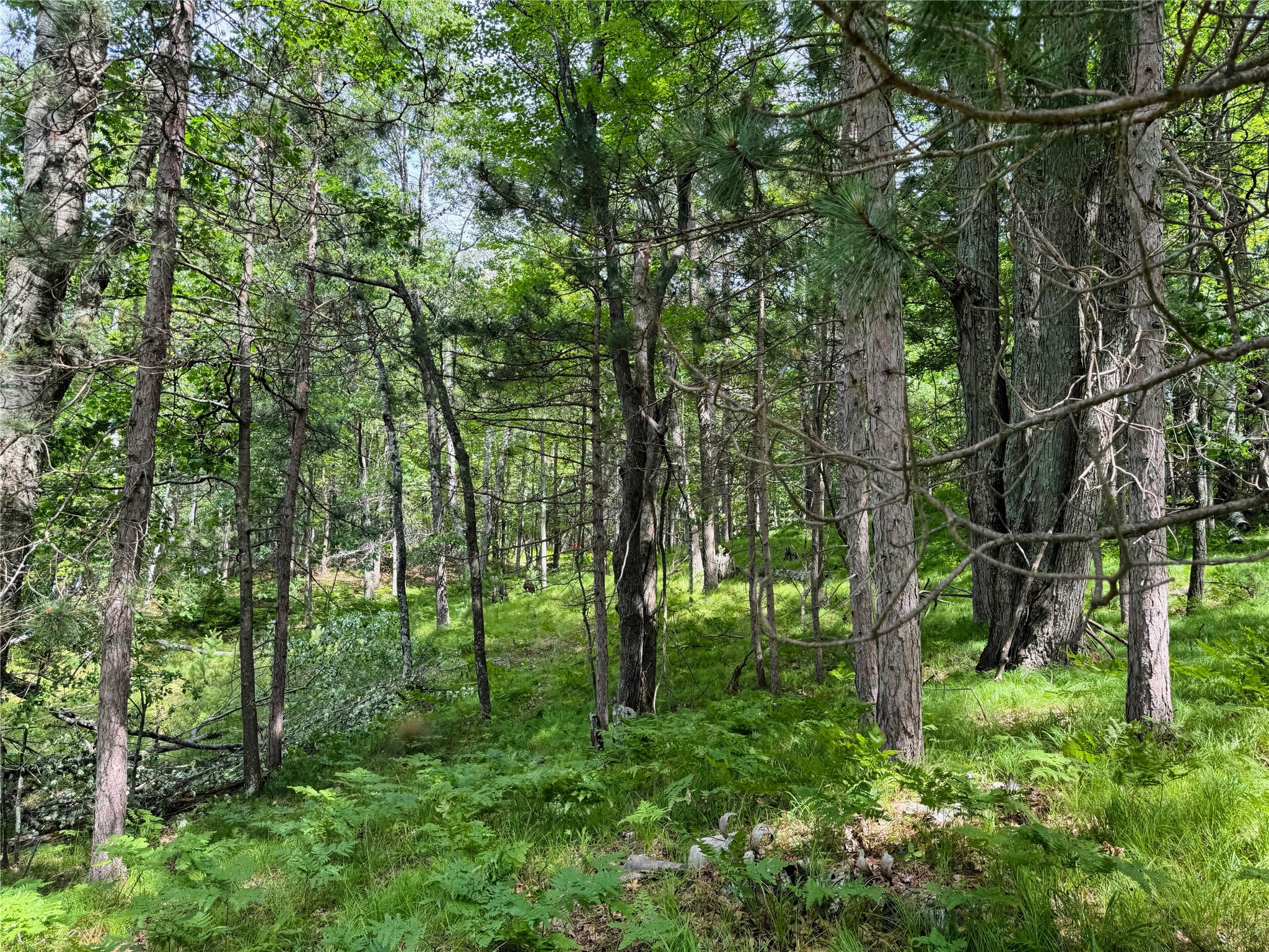 11149 N Merganser Lane Property Photo 49