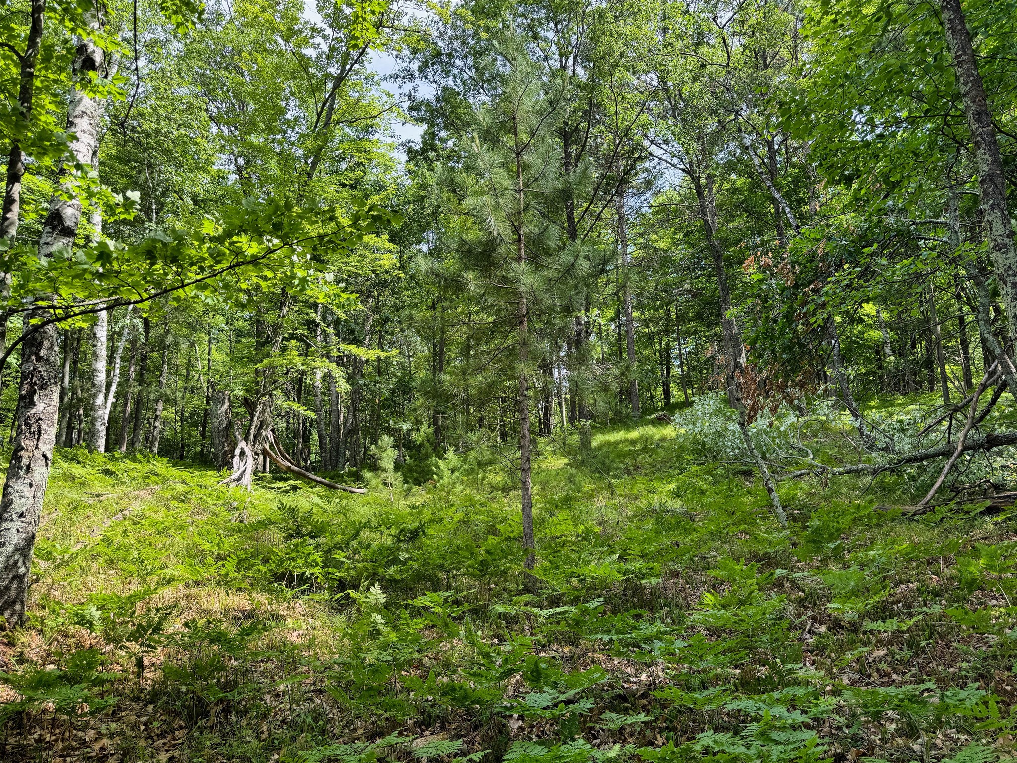 11149 N Merganser Lane Property Photo 50
