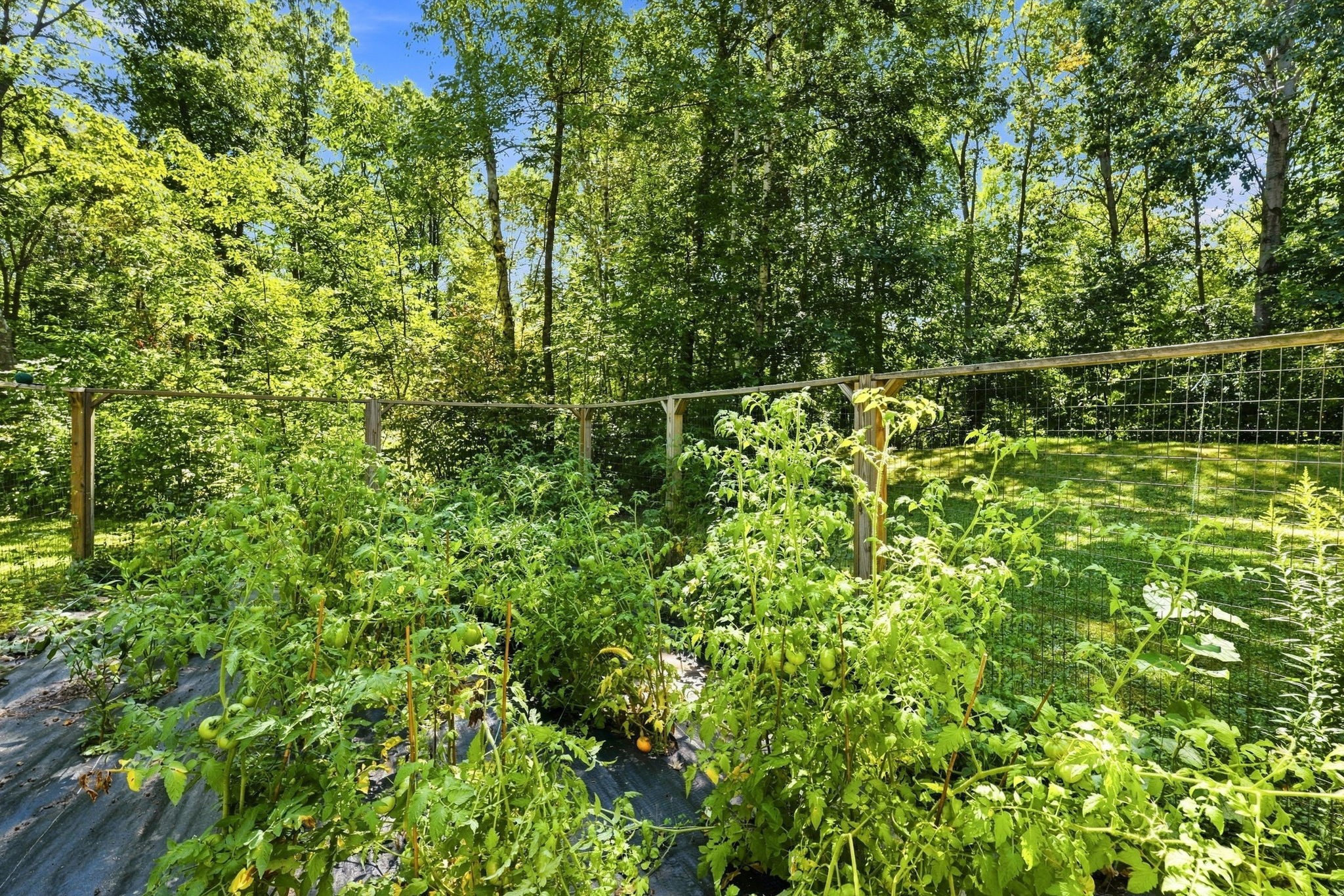 1256 26 1/2 Avenue Property Photo 5