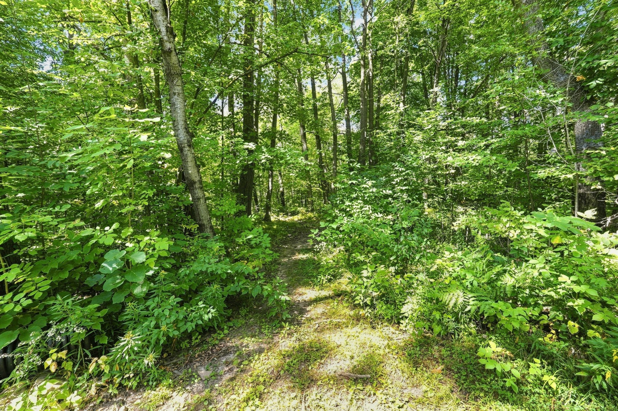 1256 26 1/2 Avenue Property Photo 48