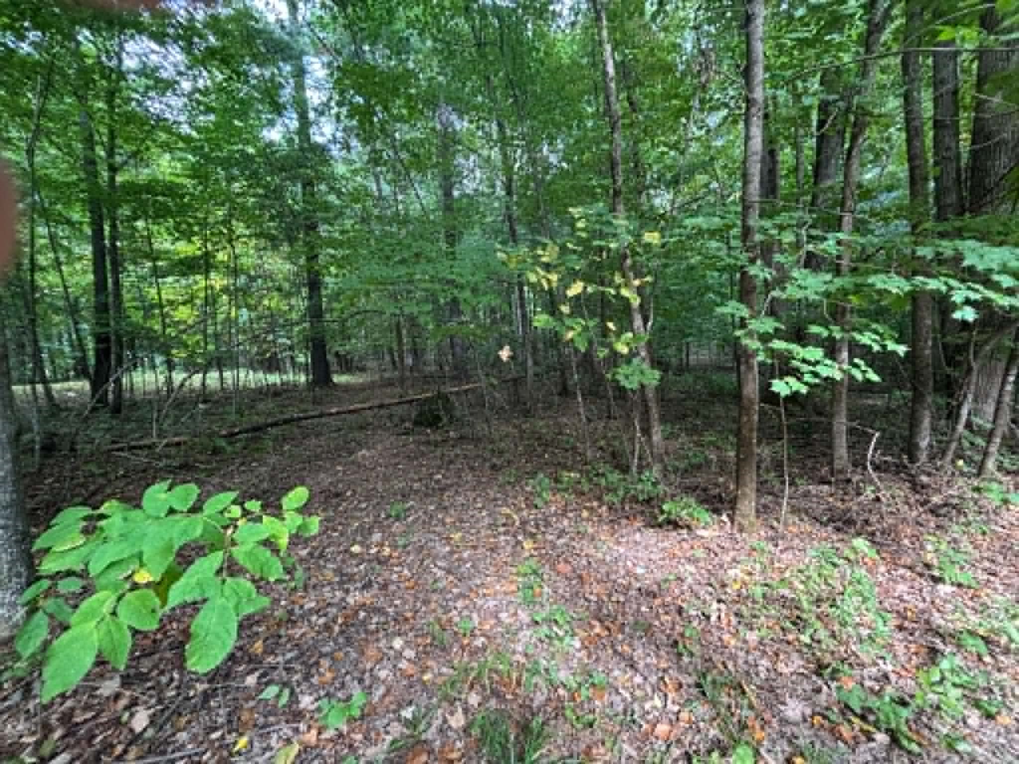 N13638 Dickerson Avenue Property Photo 4